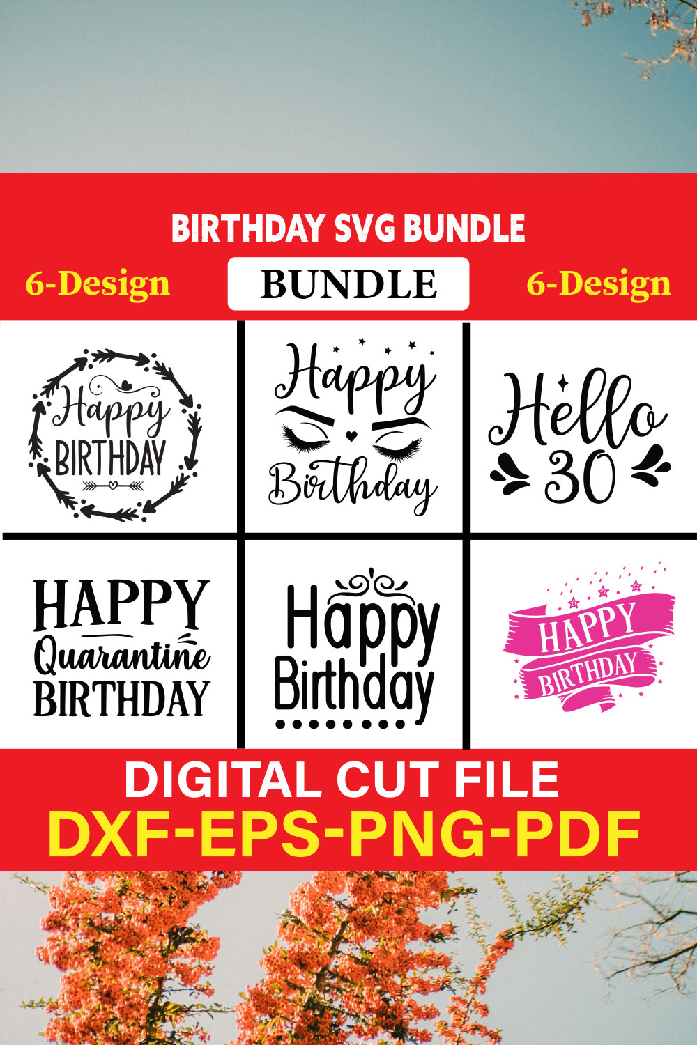 Birthday T-shirt Design Bundle Vol-8 pinterest preview image.