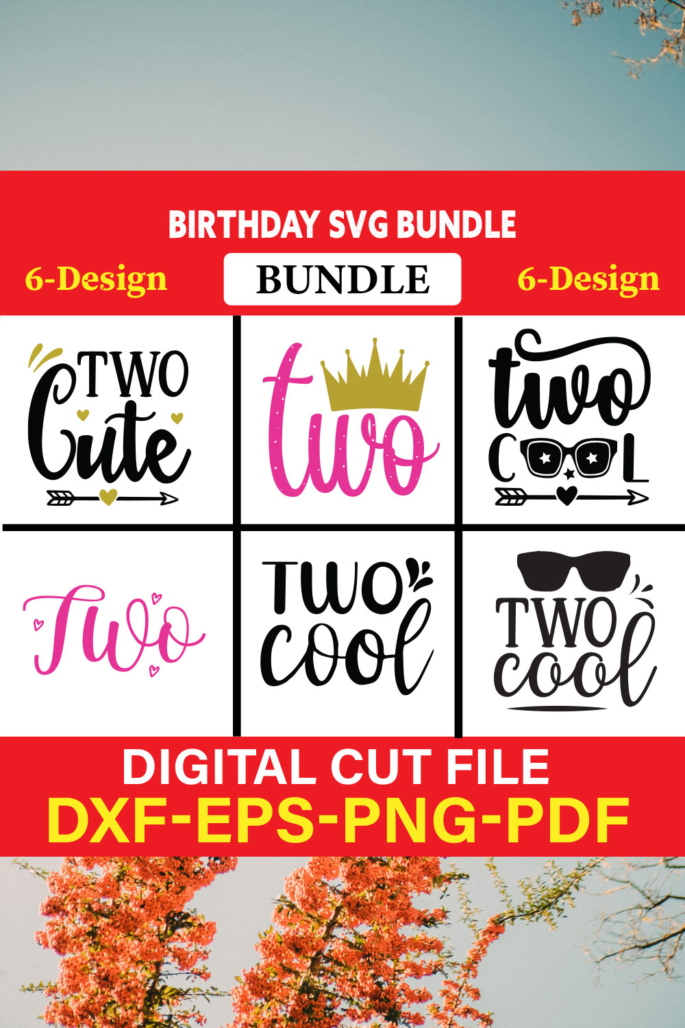 Birthday T-shirt Design Bundle Vol-17 pinterest preview image.