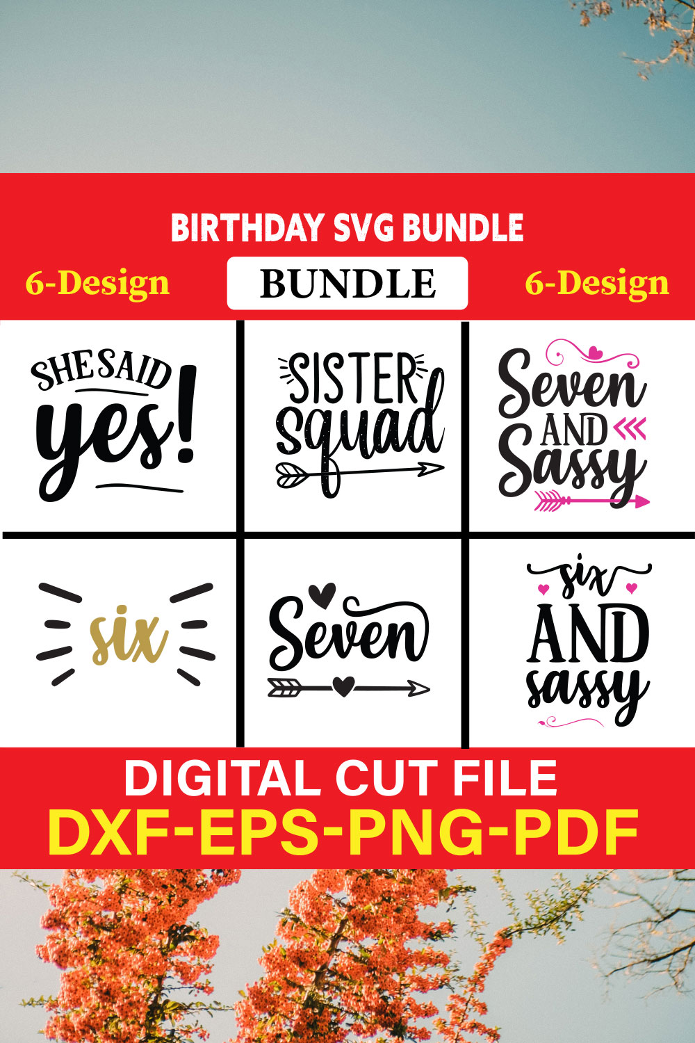 Birthday T-shirt Design Bundle Vol-14 pinterest preview image.