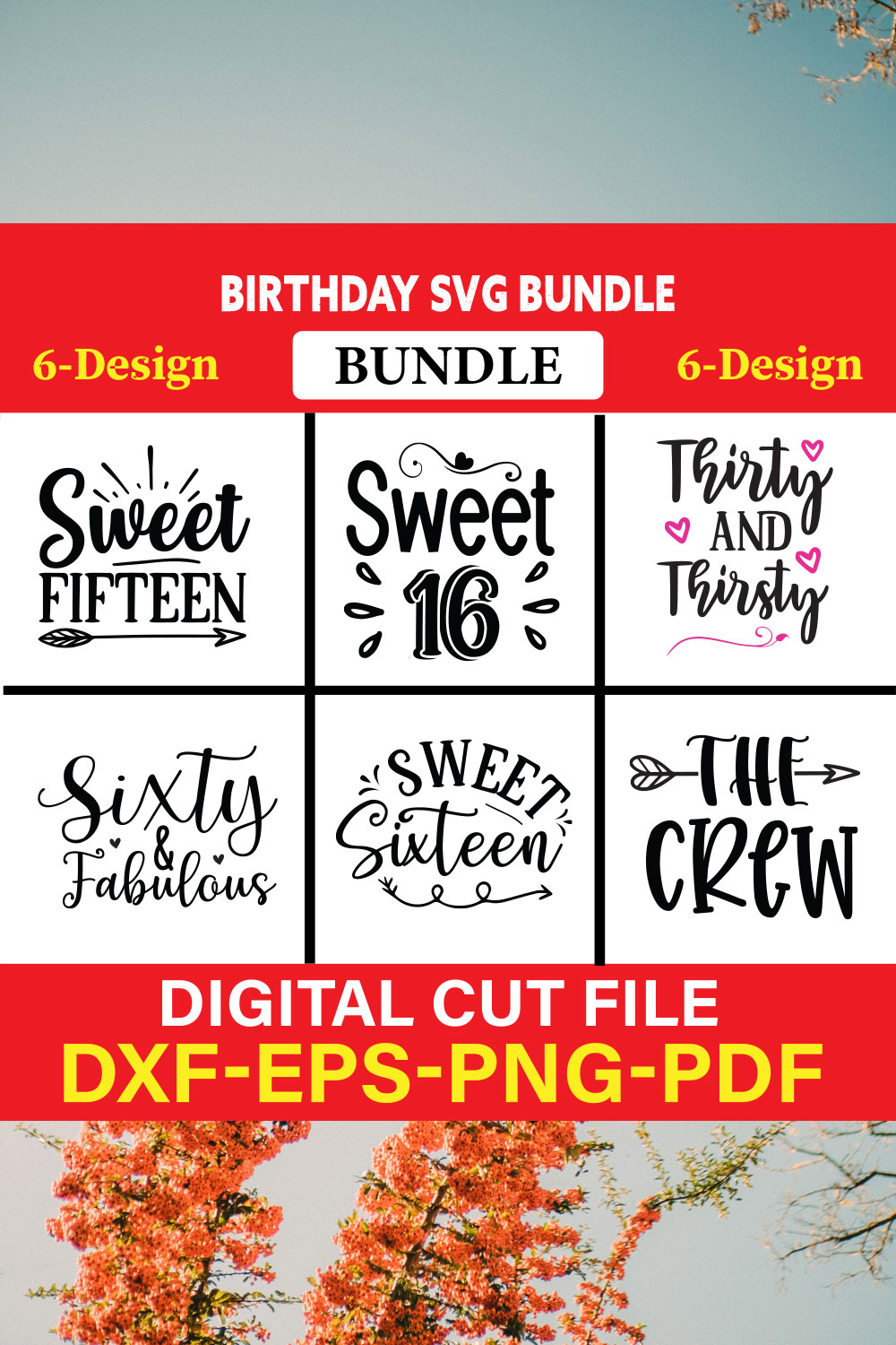 Birthday T-shirt Design Bundle Vol-14 pinterest preview image.