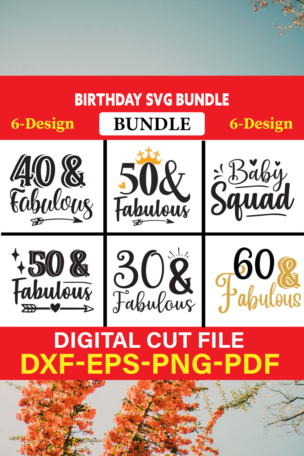 Birthday T-shirt Design Bundle Vol-1 pinterest preview image.