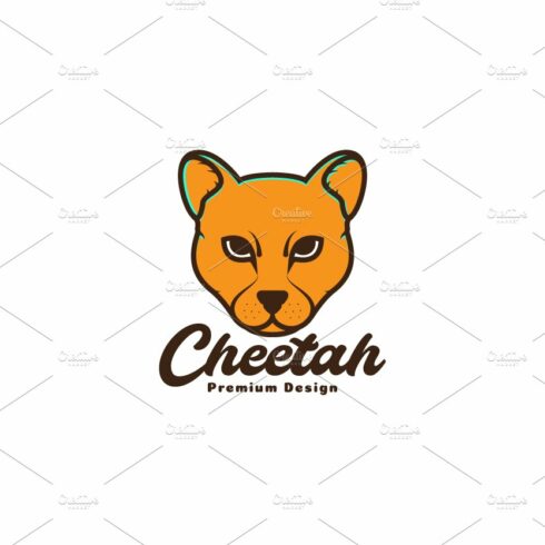 colorful head cheetah logo symbol cover image.