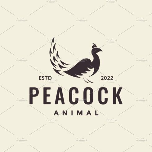 hipster vintage peacock logo design cover image.