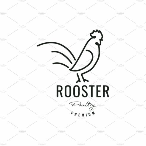 rooster line minimalist logo design cover image.
