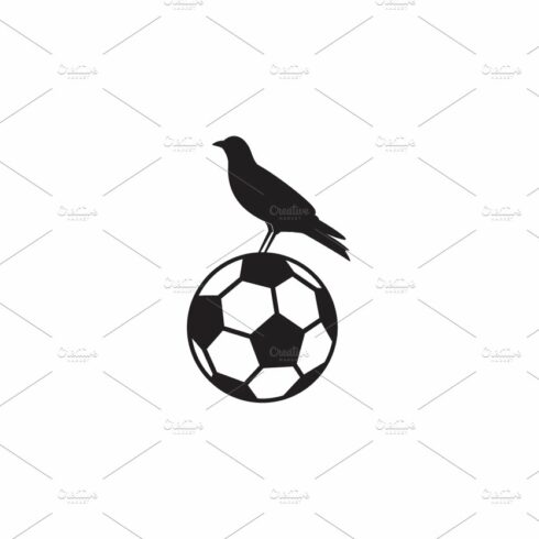 raven bird on top ball logo symbol cover image.