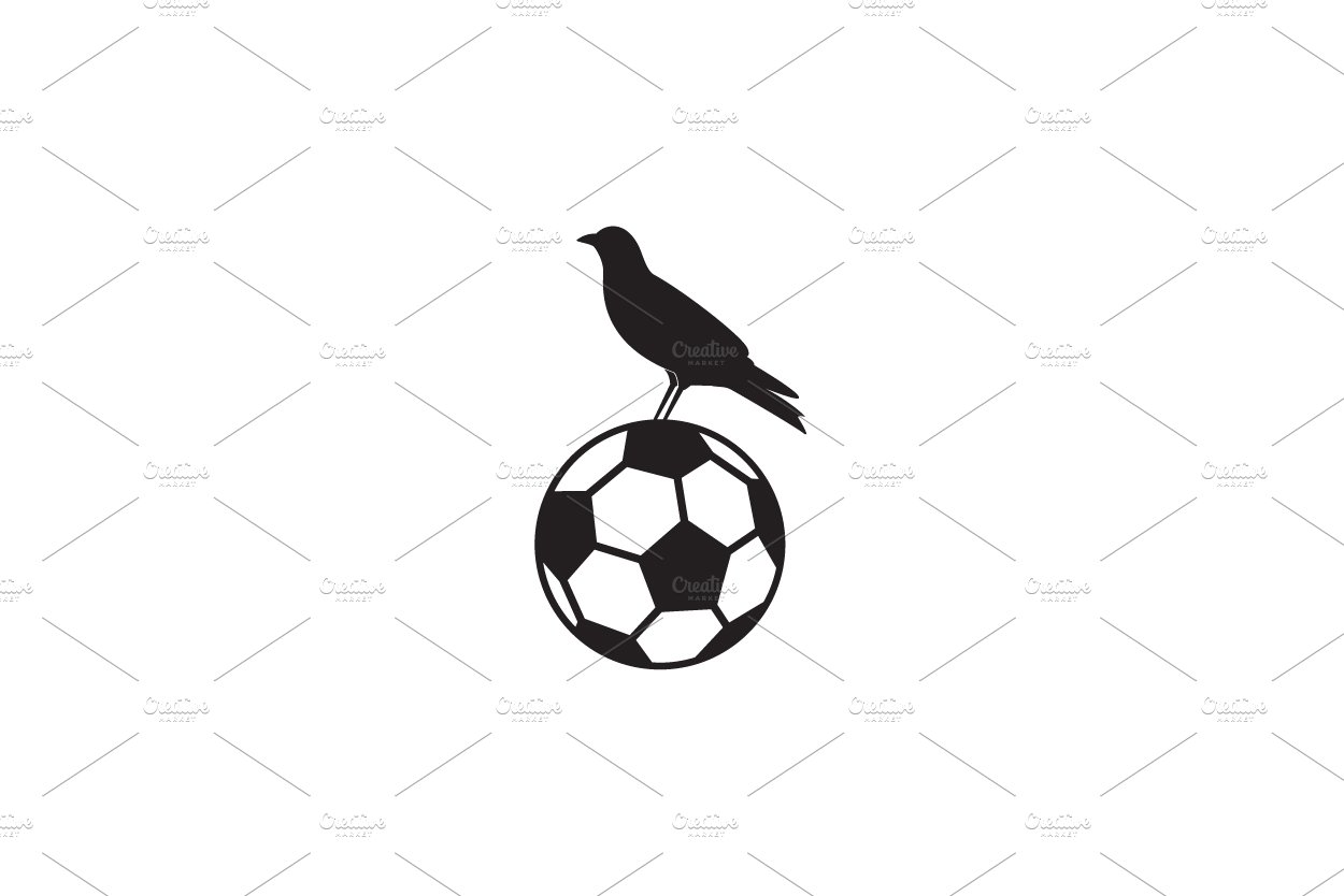 raven bird on top ball logo symbol cover image.
