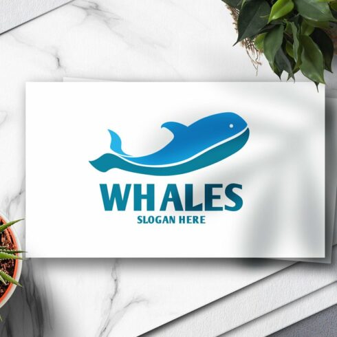 Whales Logo cover image.