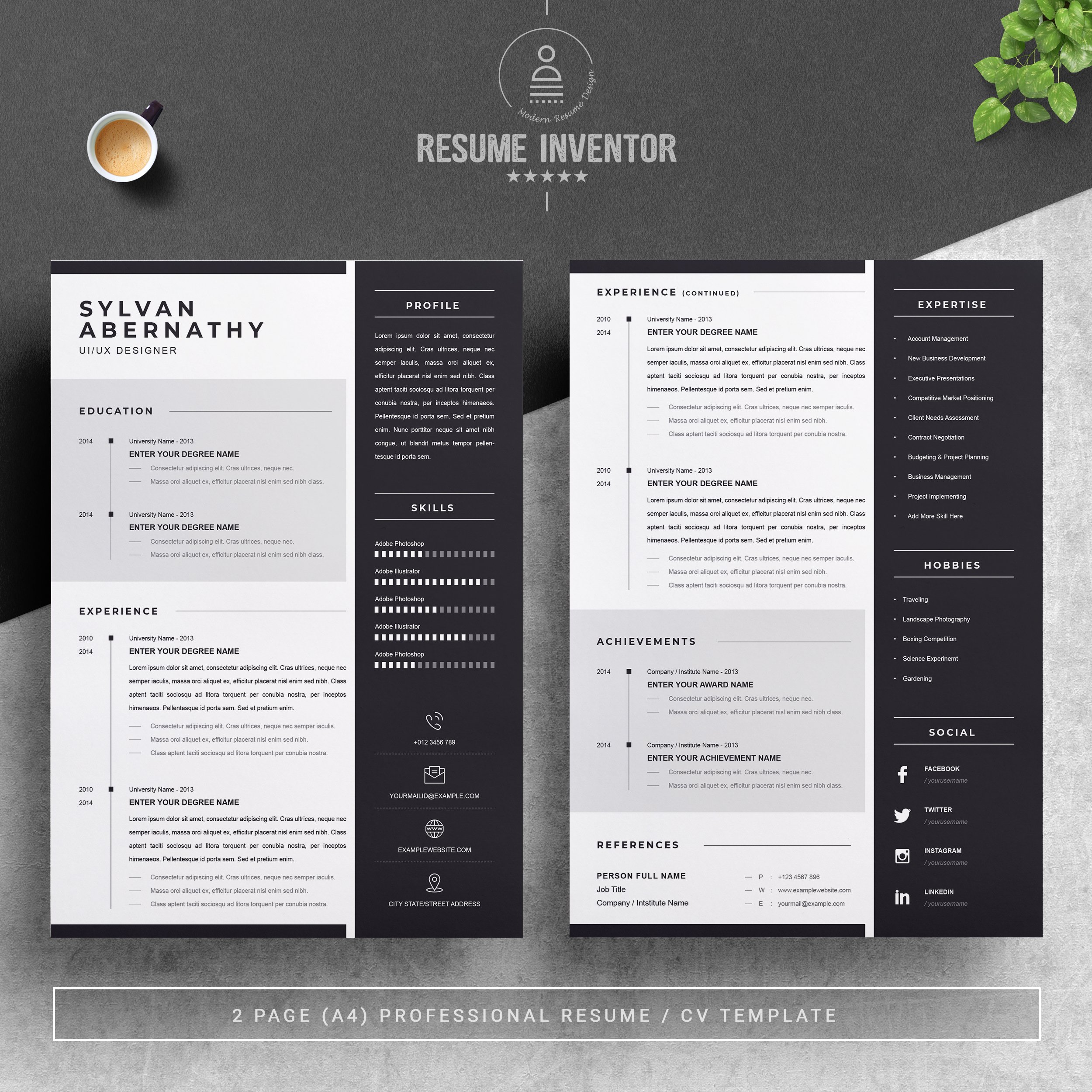 Professional Resume / CV Template preview image.