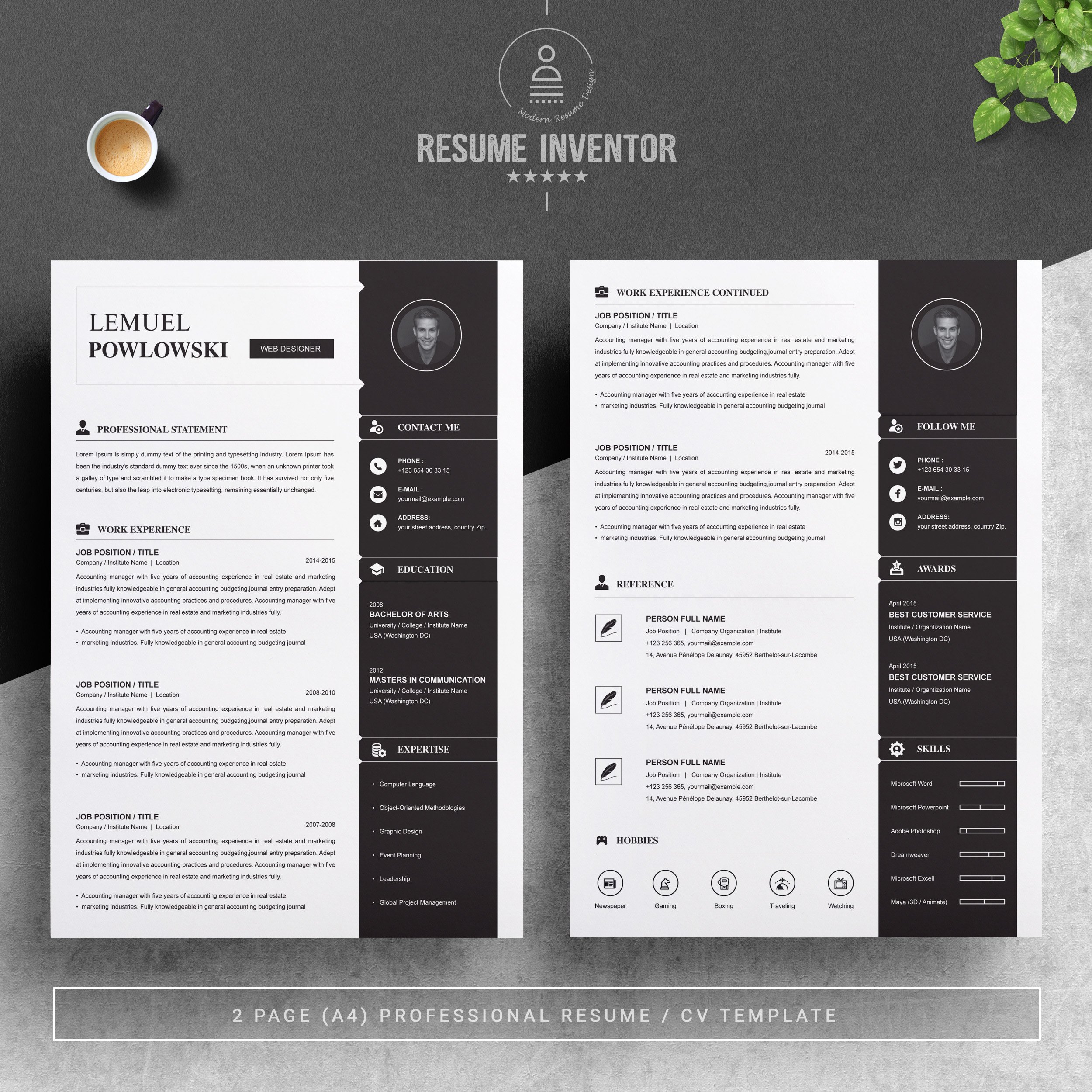 Professional Resume Template / CV preview image.