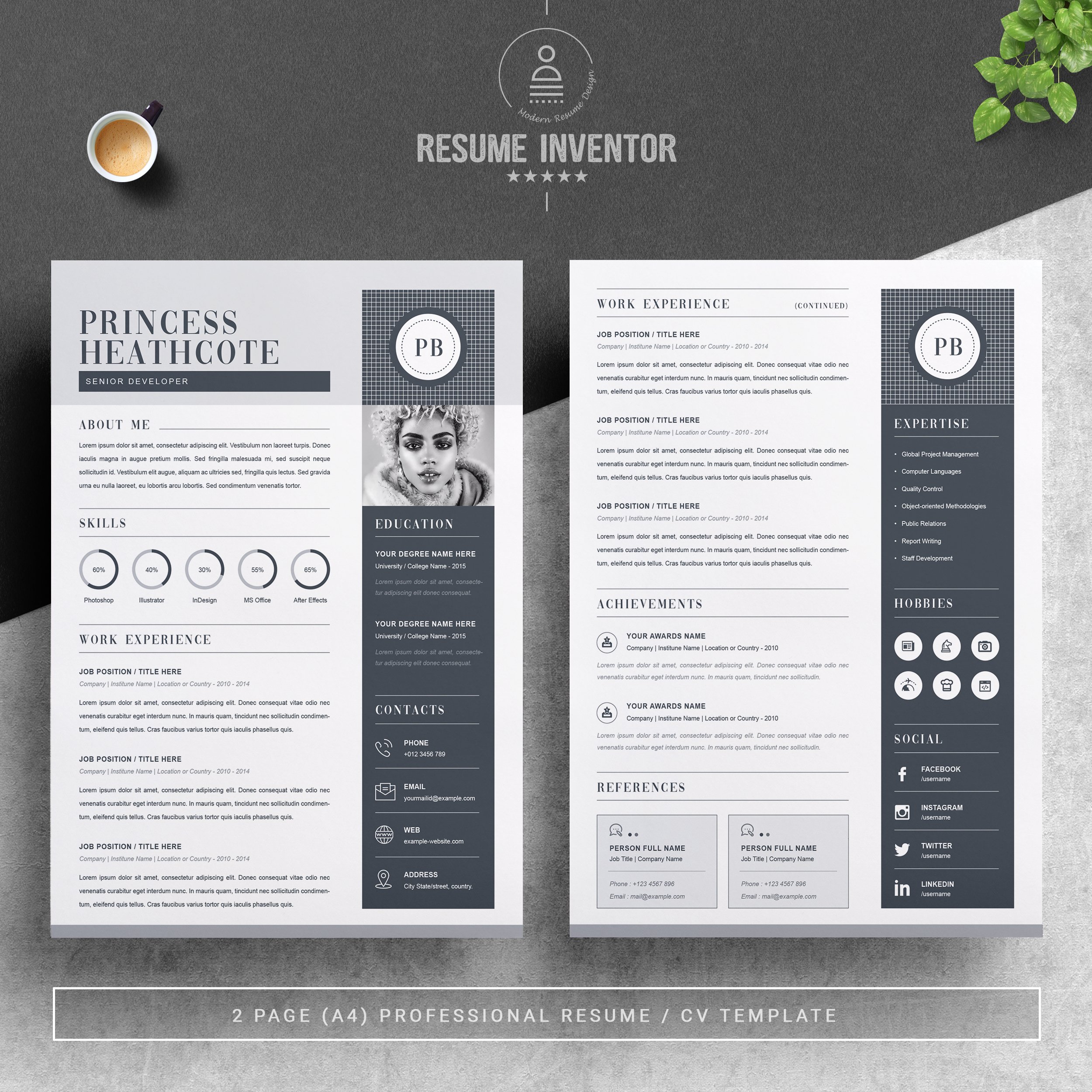 Resume Template For Web Developer preview image.