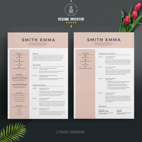 Modern Professional Resume Template – MasterBundles
