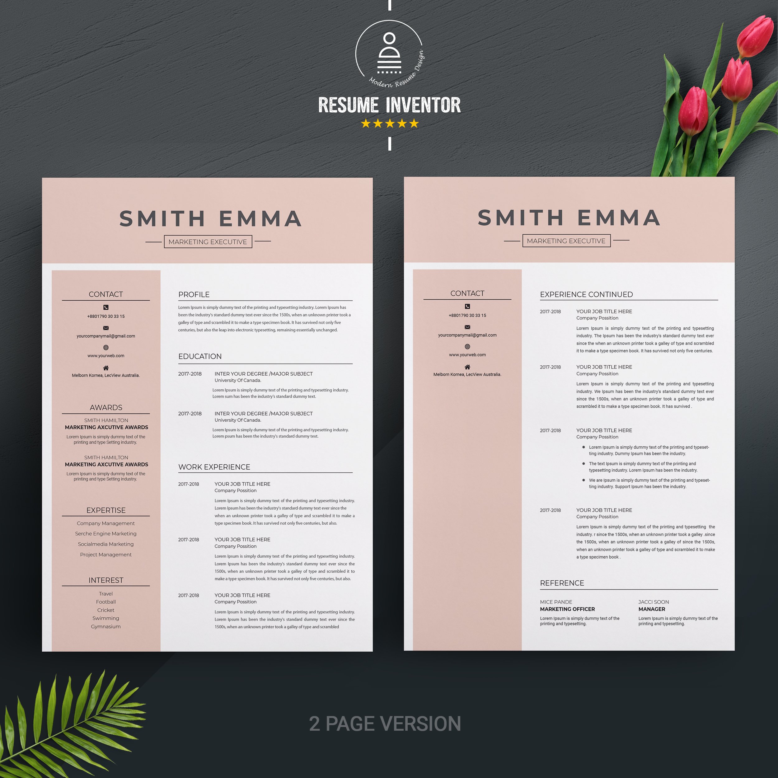 Modern Professional Resume Template preview image.