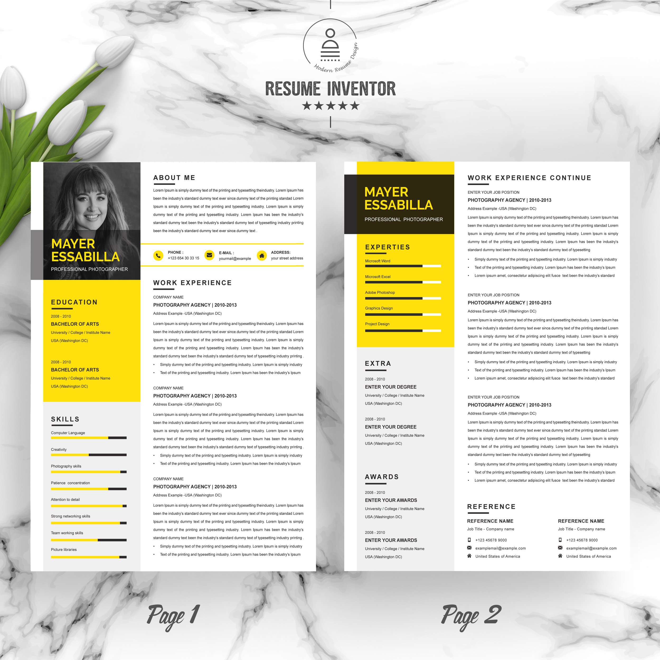 Professional 3 Page Resume Template preview image.