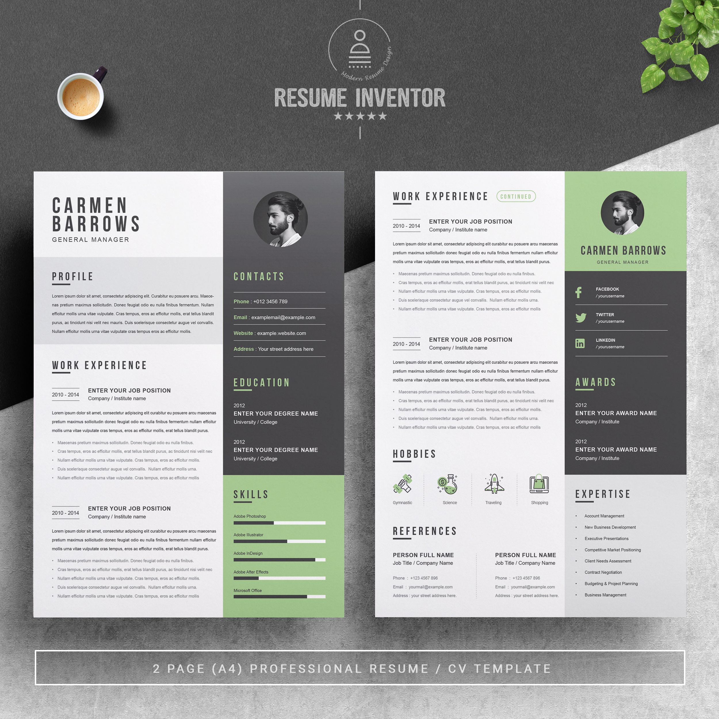 Professional Resume / CV Template preview image.