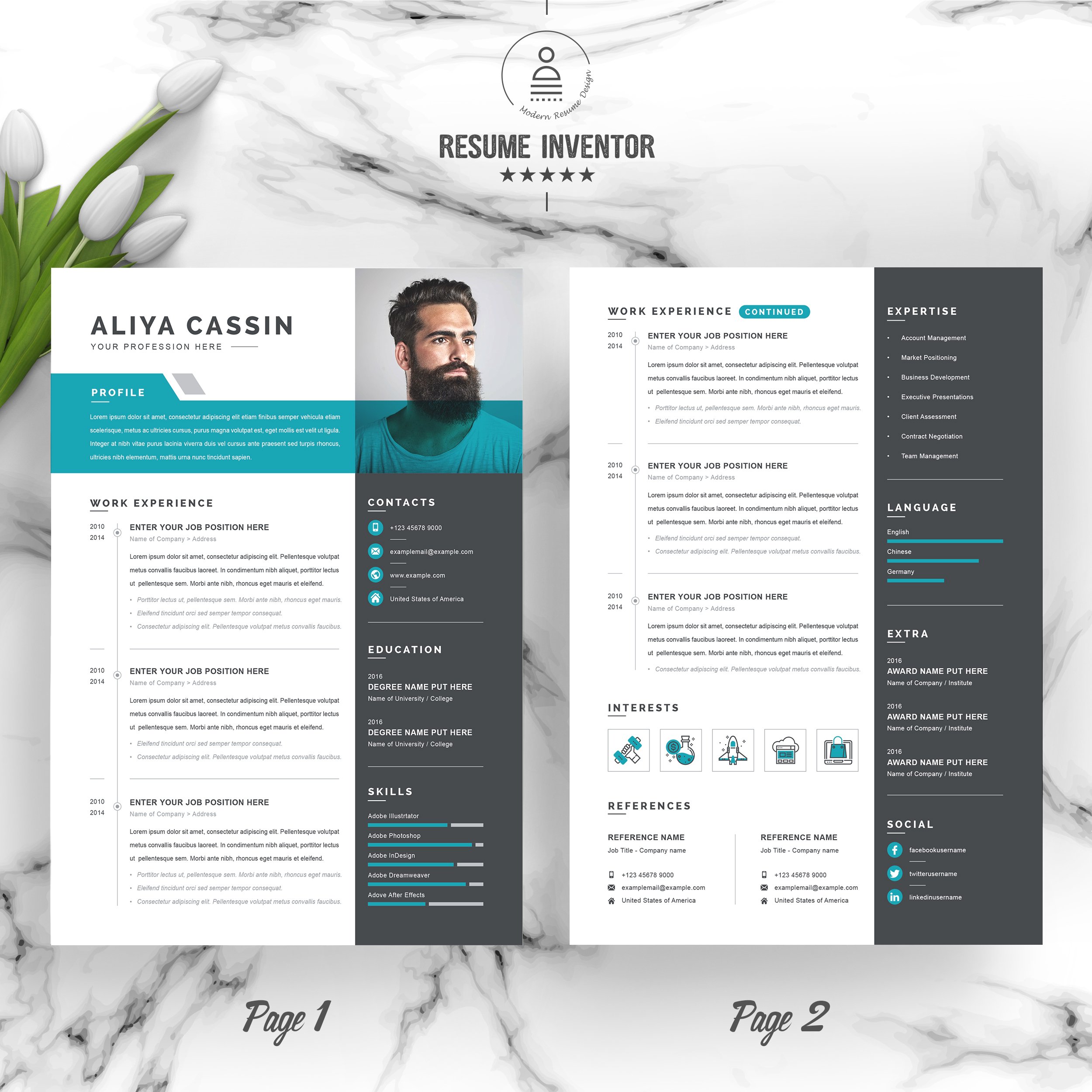 Professional Resume / CV Template preview image.