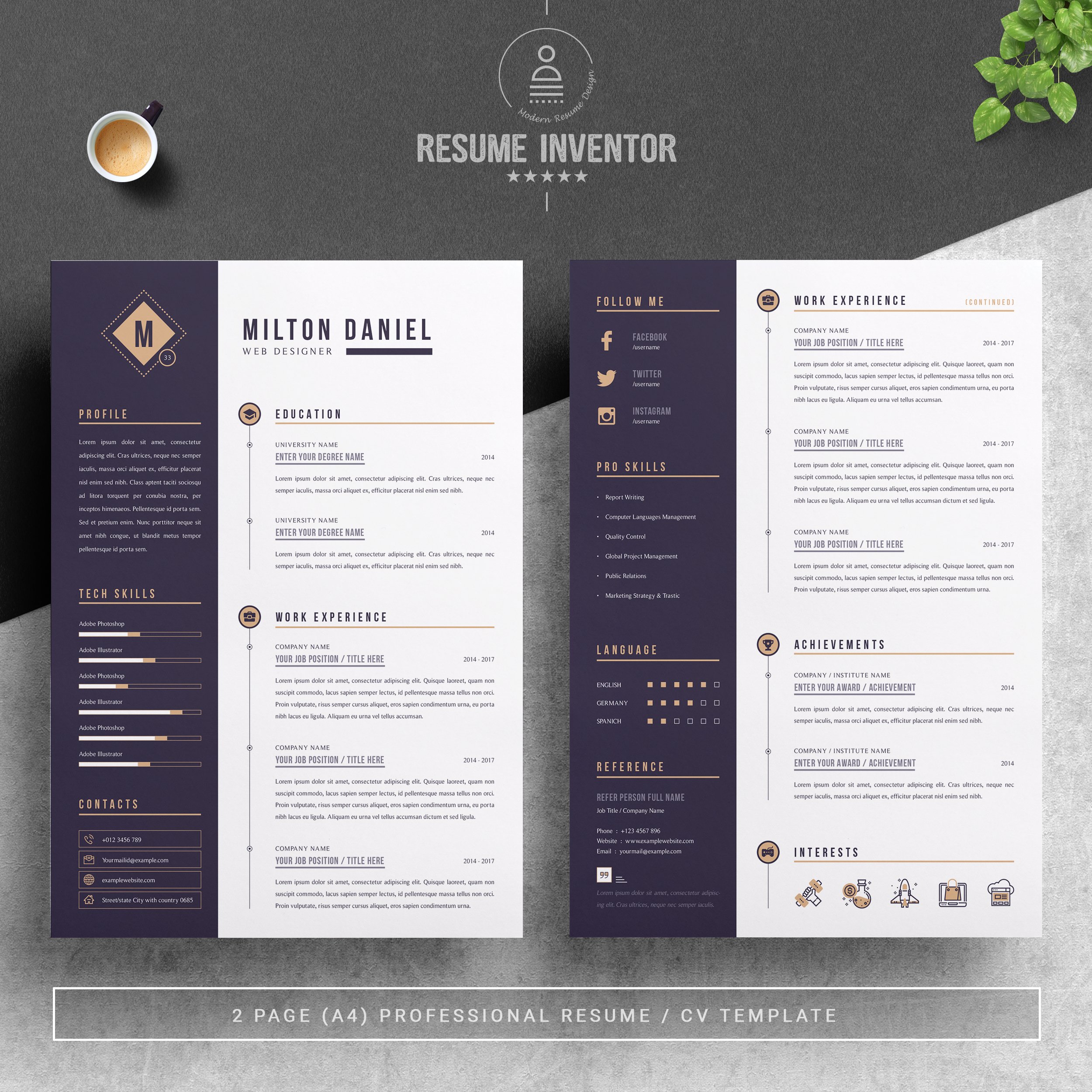 Professional Resume / CV Template preview image.