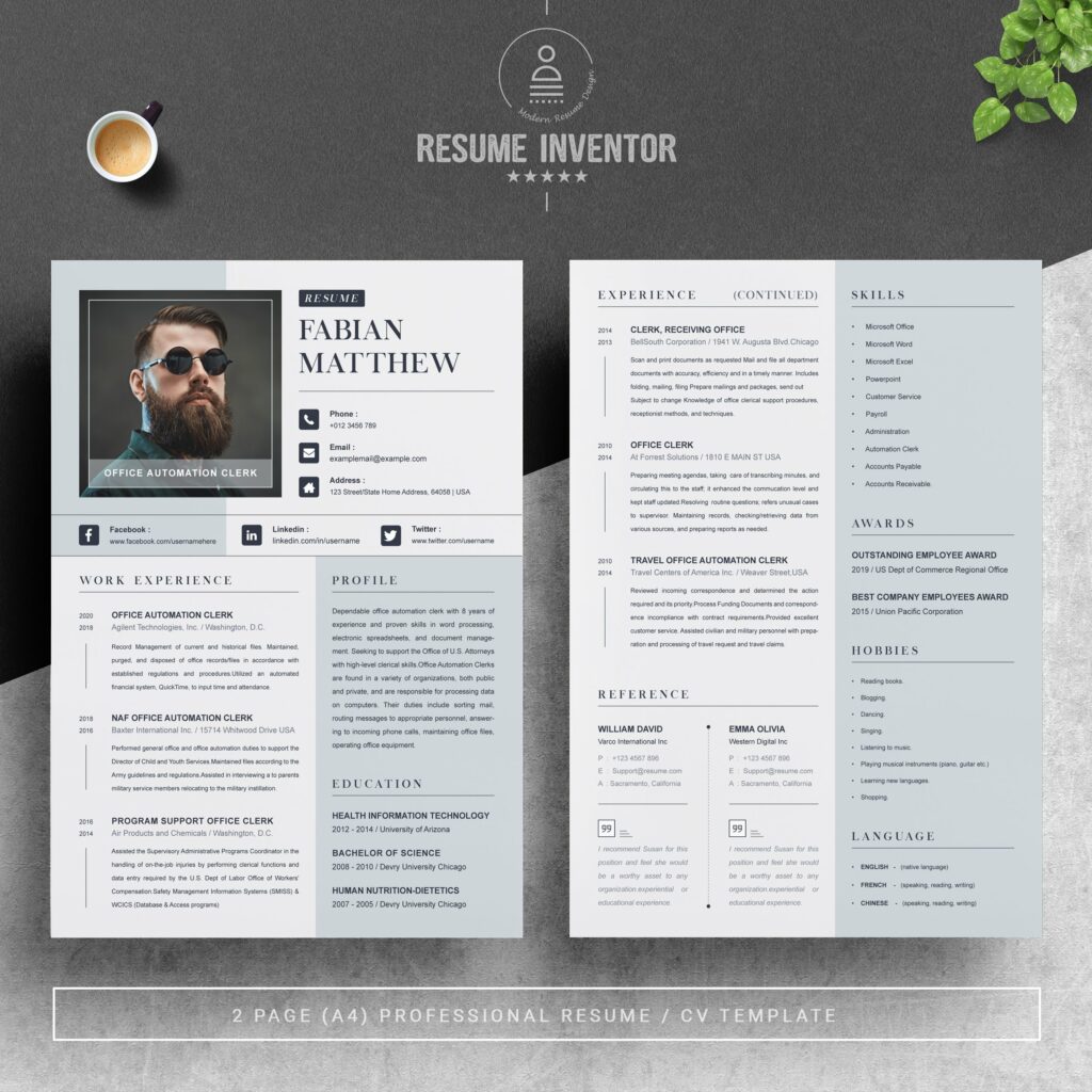 Modern Executive CEO Resume Template – MasterBundles