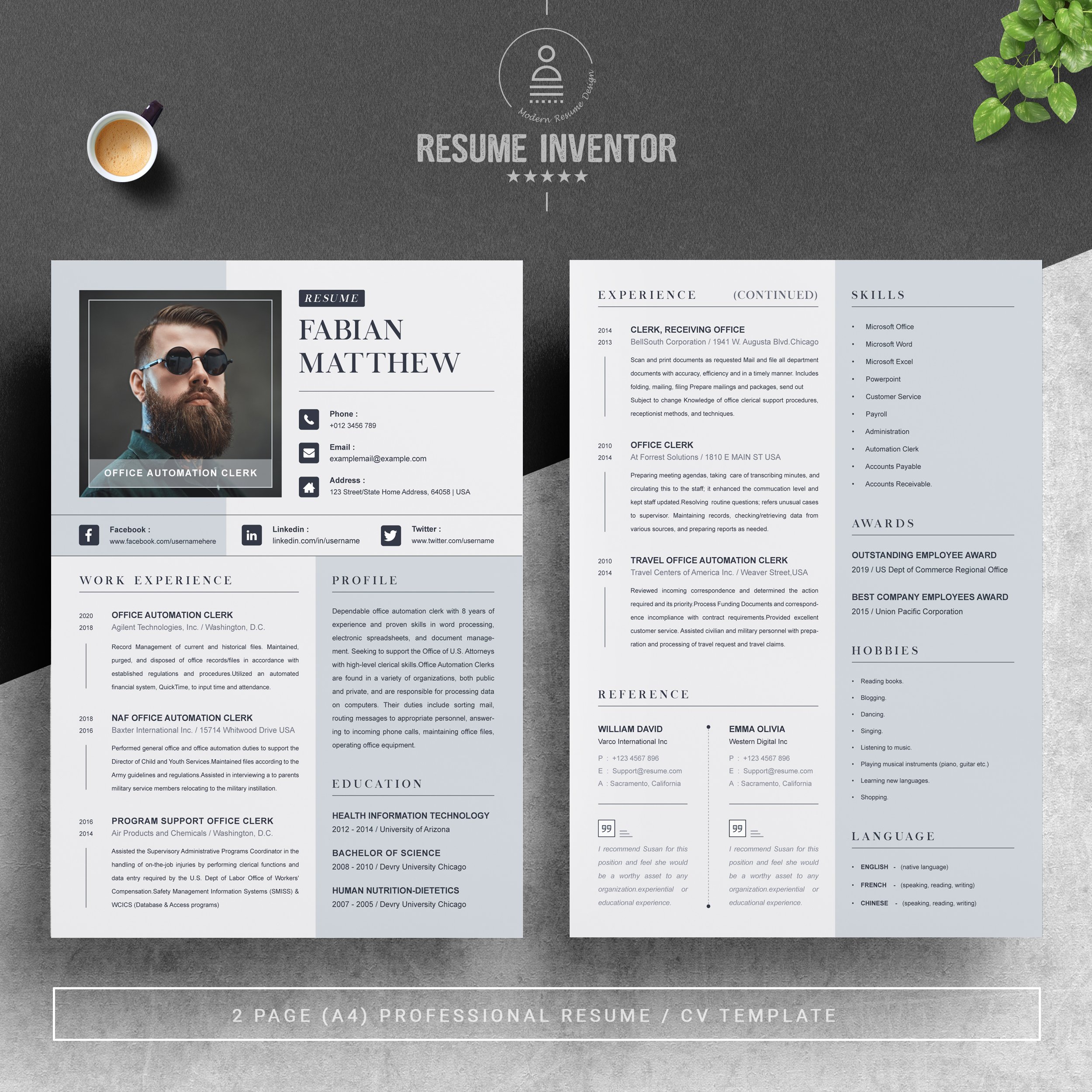 Modern Executive CEO Resume Template preview image.
