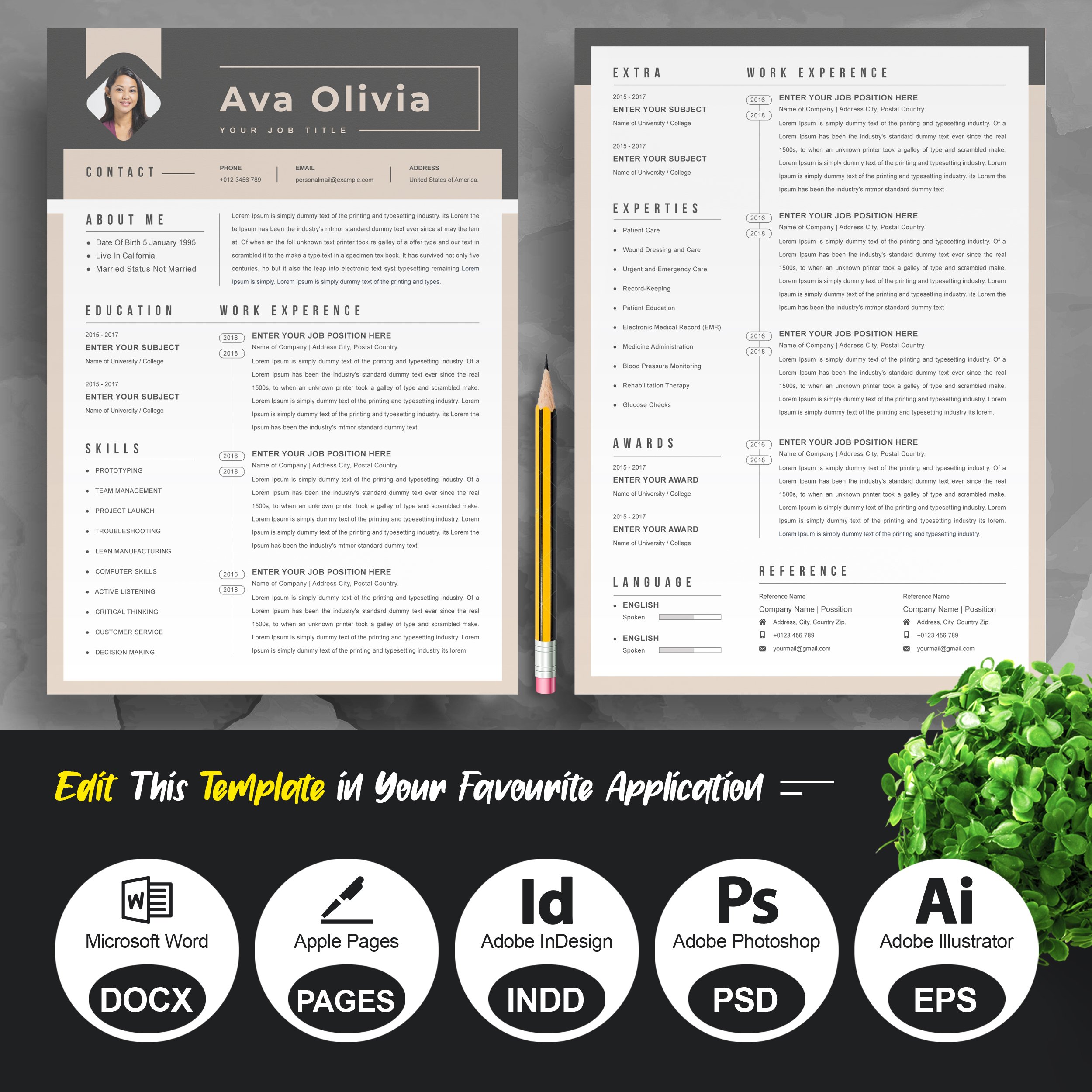 3 Page Resume Professional CV preview image.