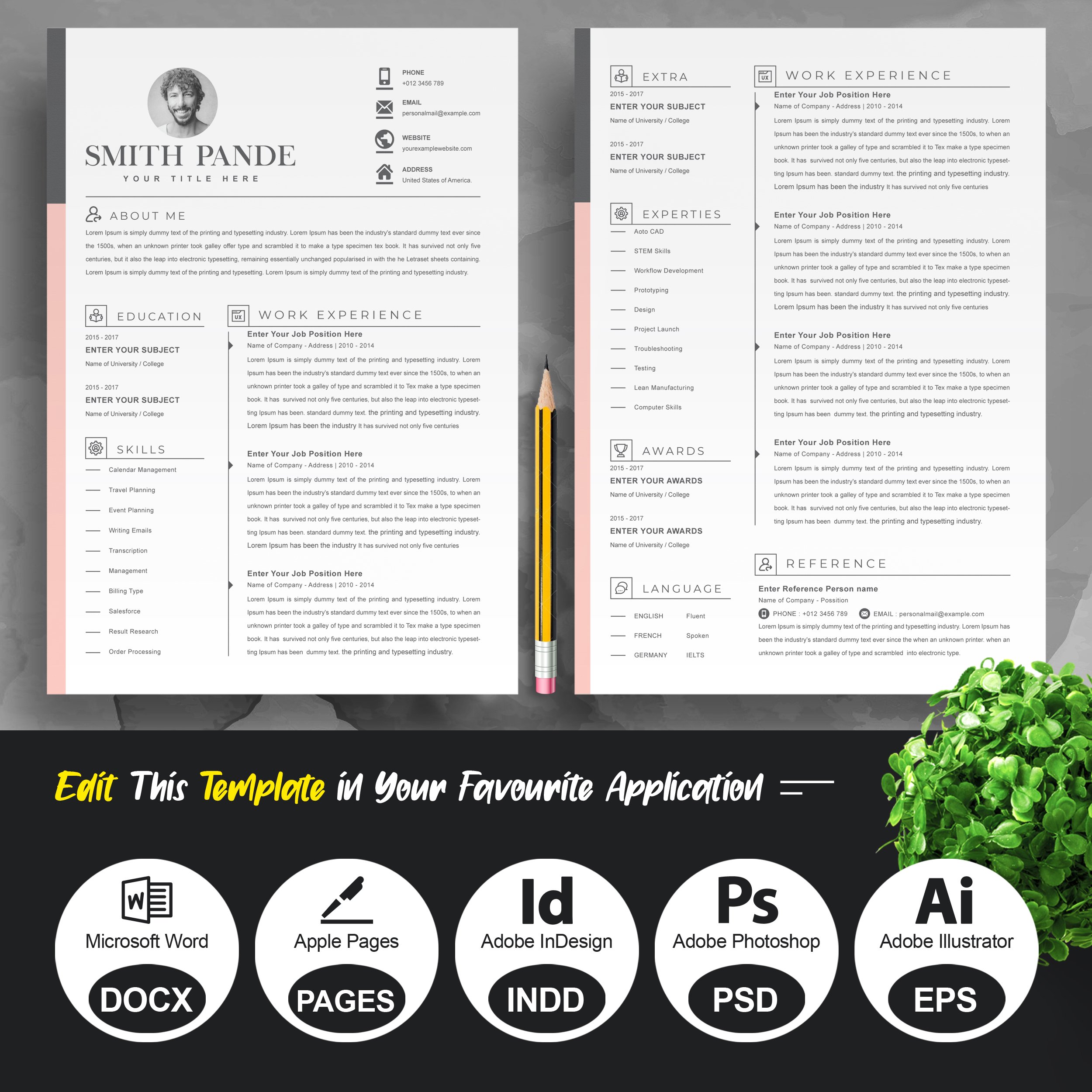 Clean & Modern Resume Template Word preview image.