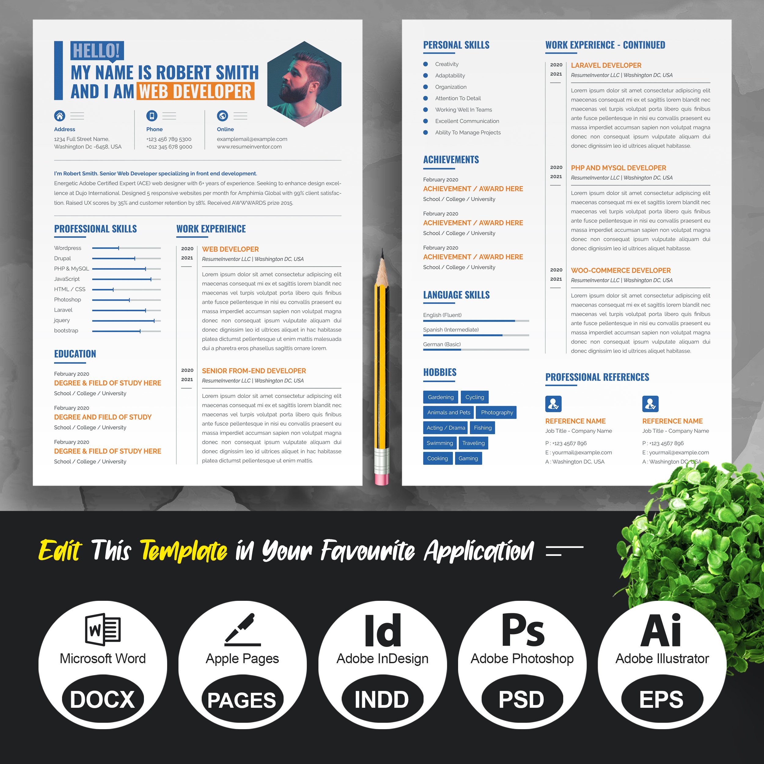 Programmer Resume Template for Word preview image.
