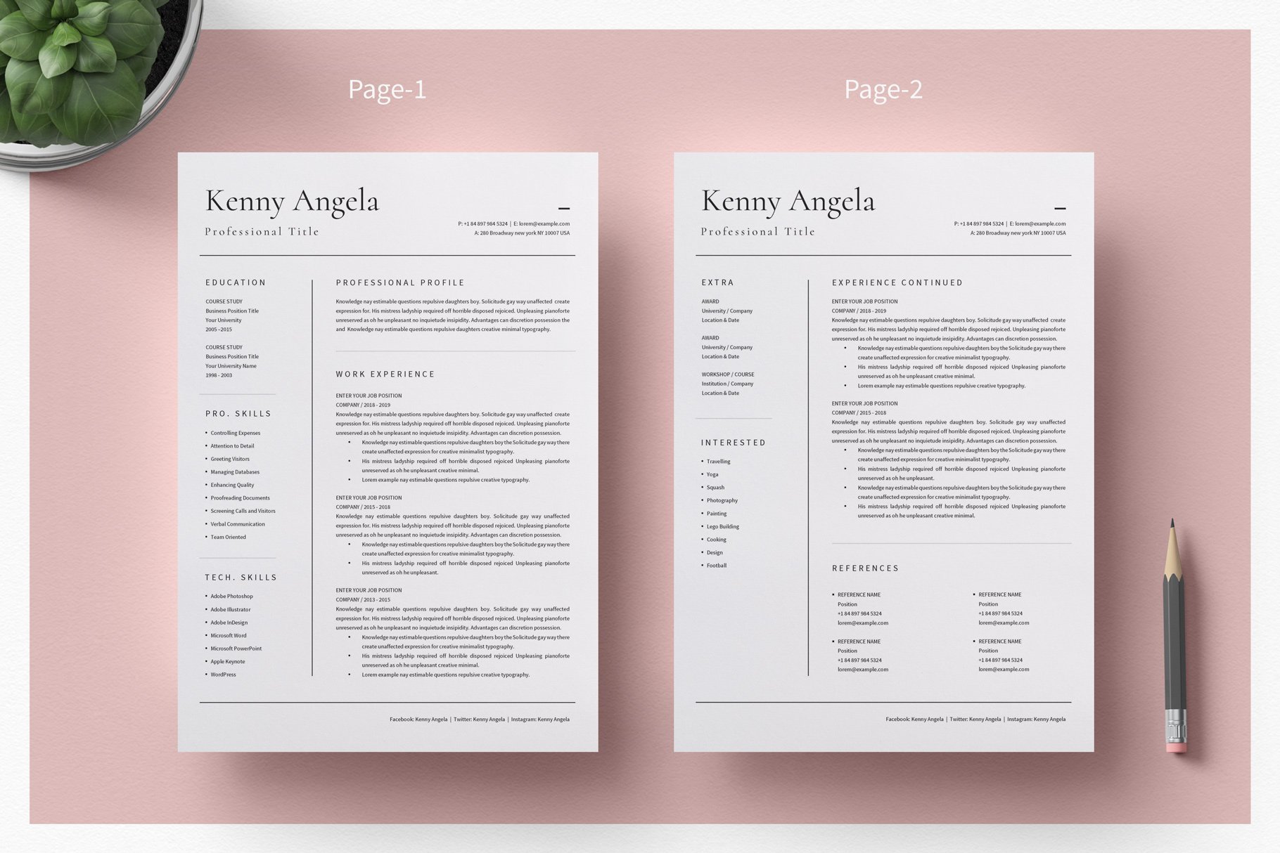 Professional Resume Template Word preview image.