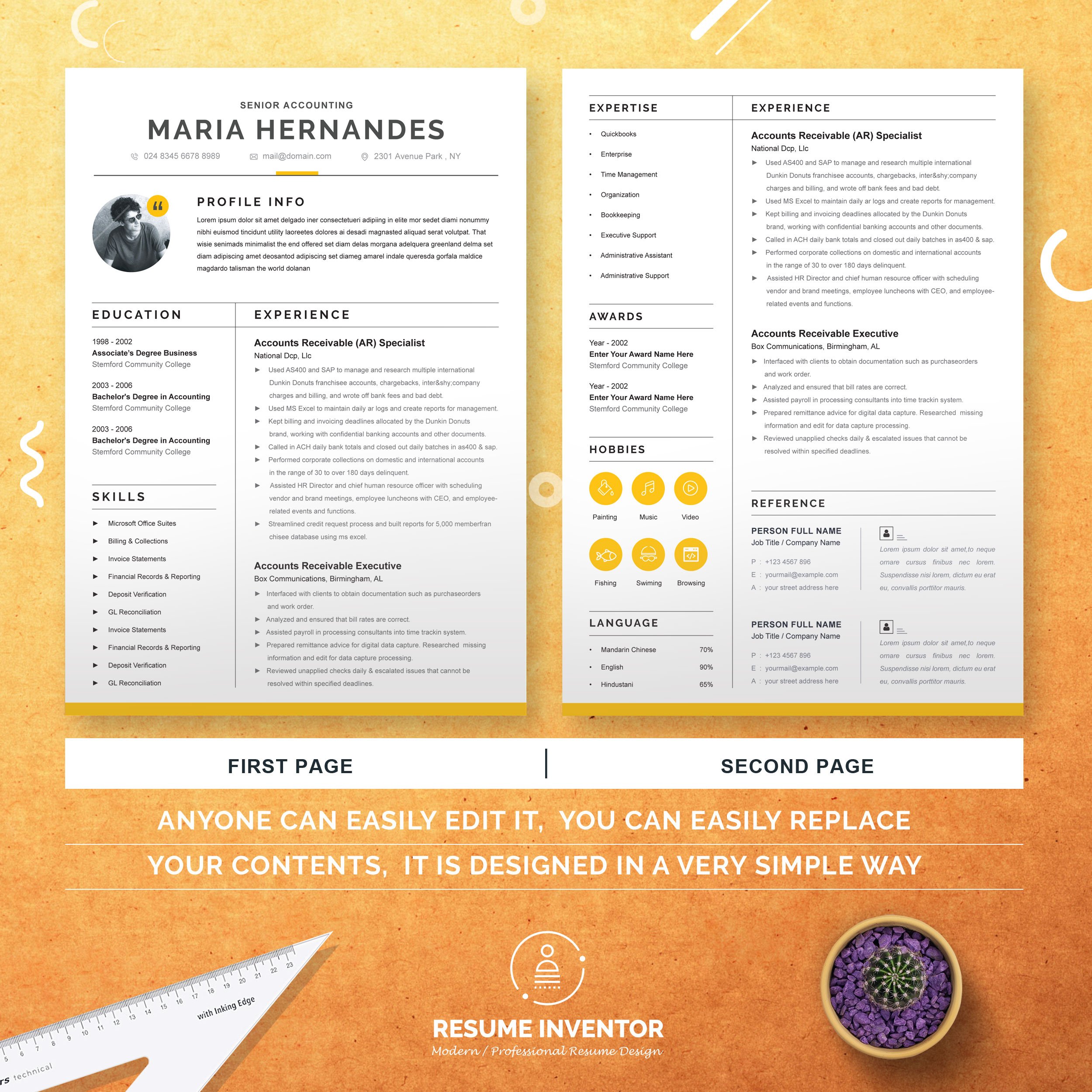 Professional Accountant CV Template preview image.