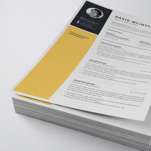 Professional Resume/CV Template cover image.