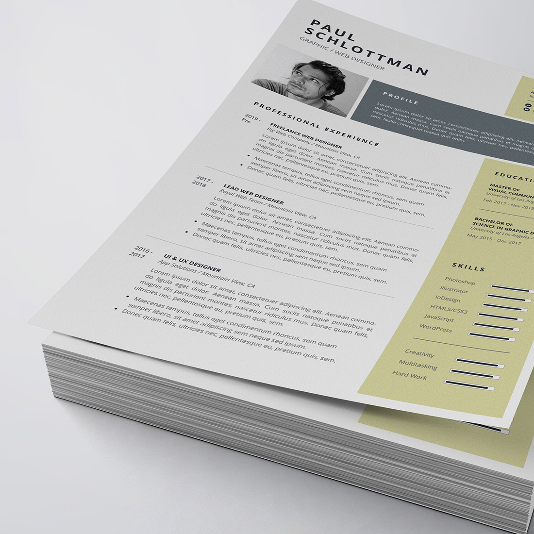 Professional Resume/CV Template cover image.