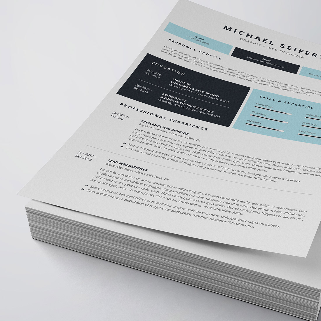 Professional Resume/CV Template cover image.