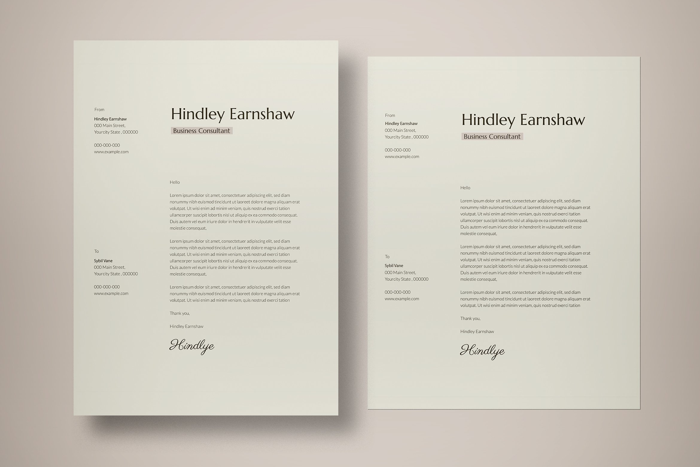 Simple Modern Resume preview image.