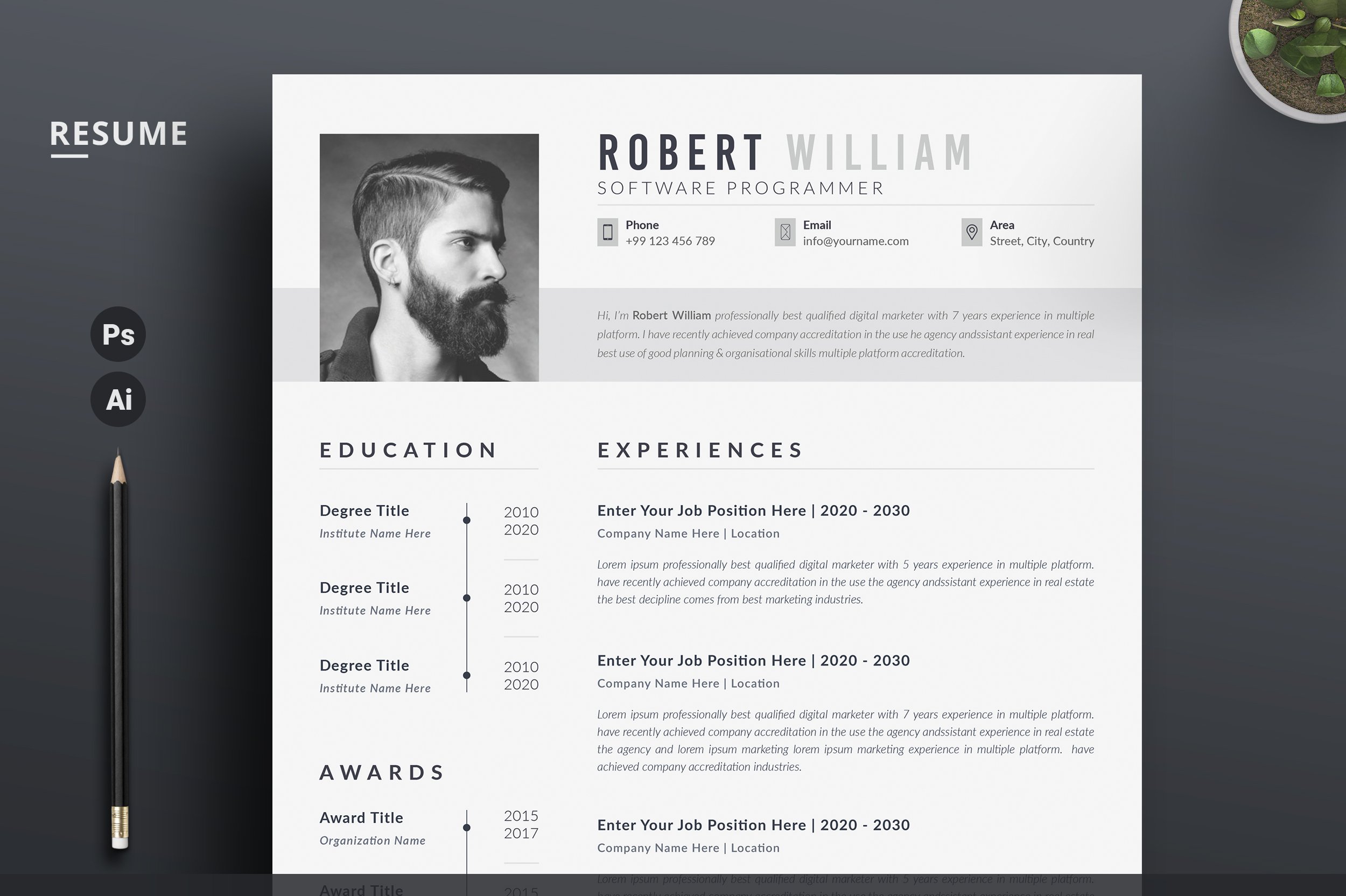 Professional Resume/CV Word preview image.