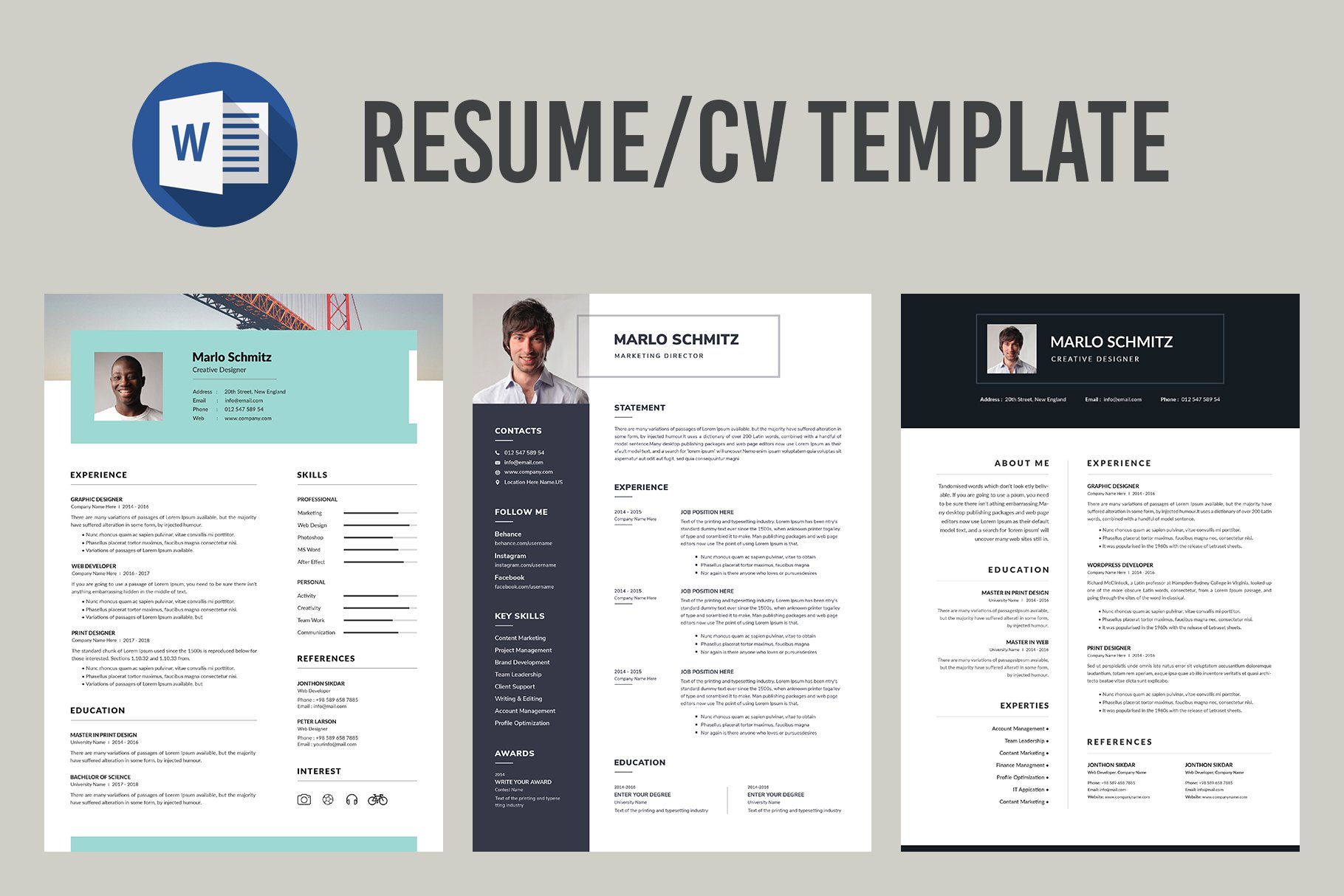 03 resume template 531