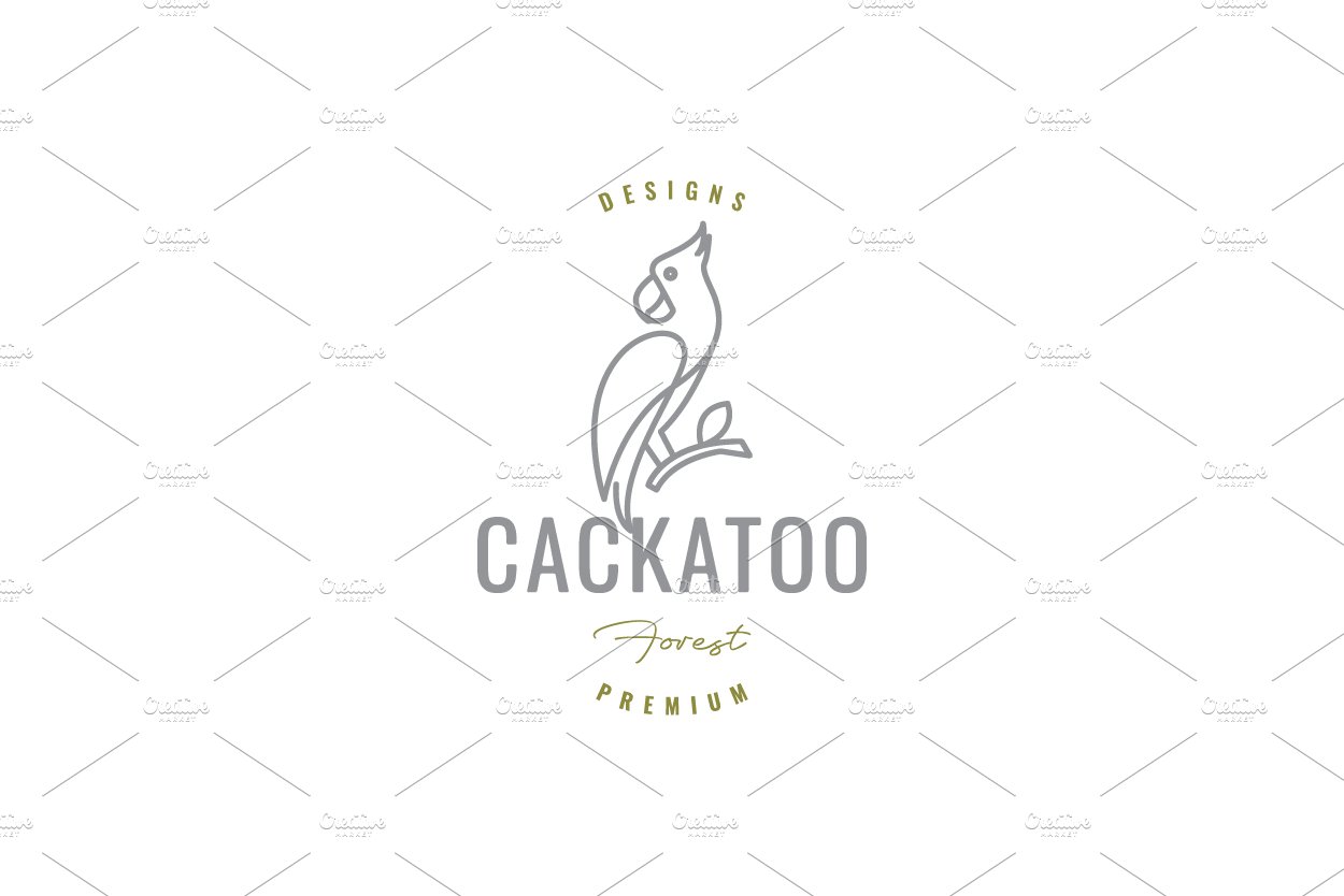 cackatoo with branch logo design cover image.