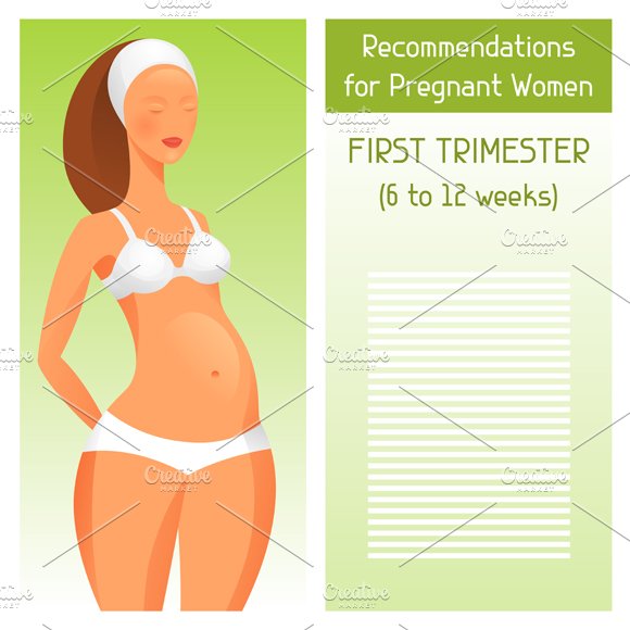 Trimesters of pregnancy. preview image.