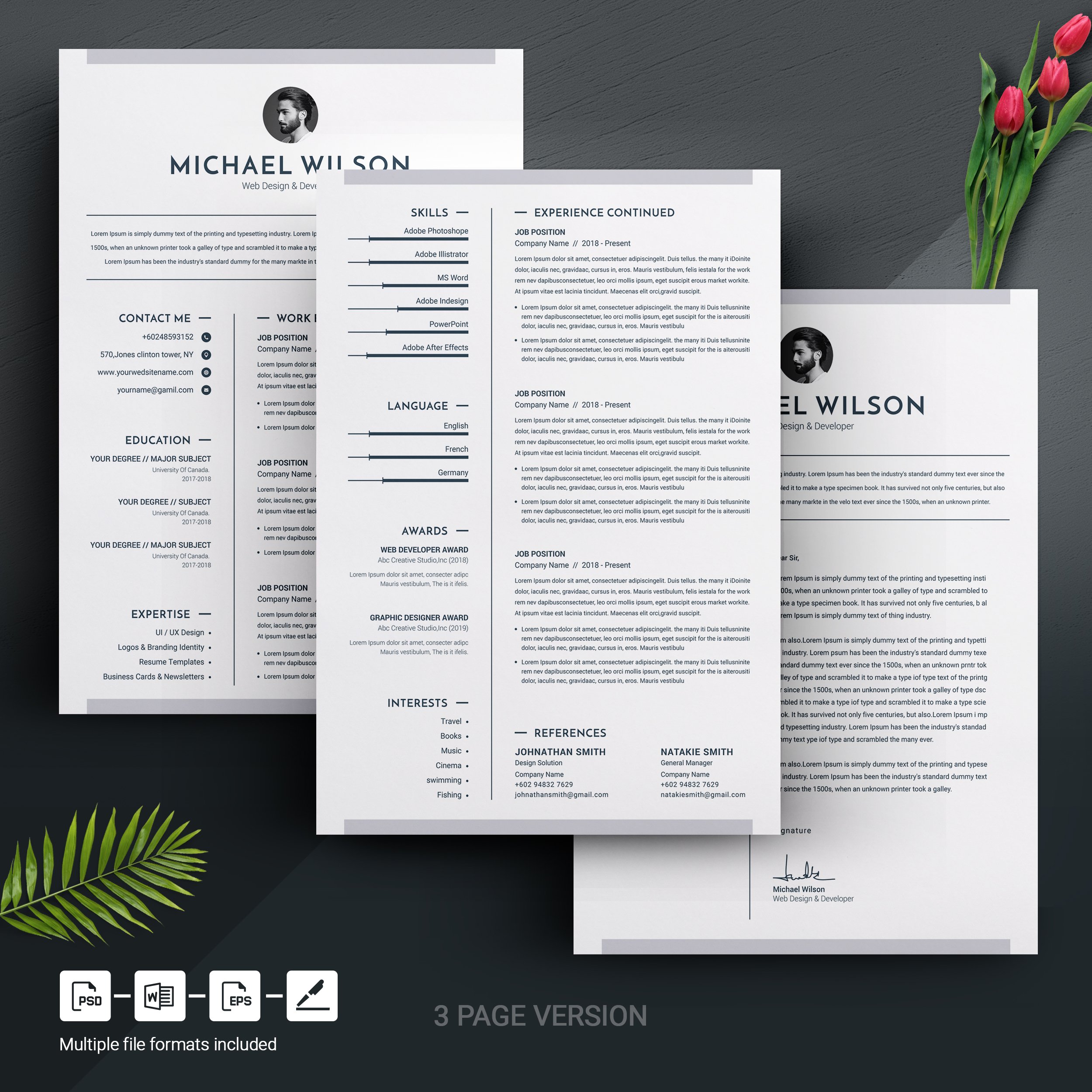 03 3 page free resume design template 174