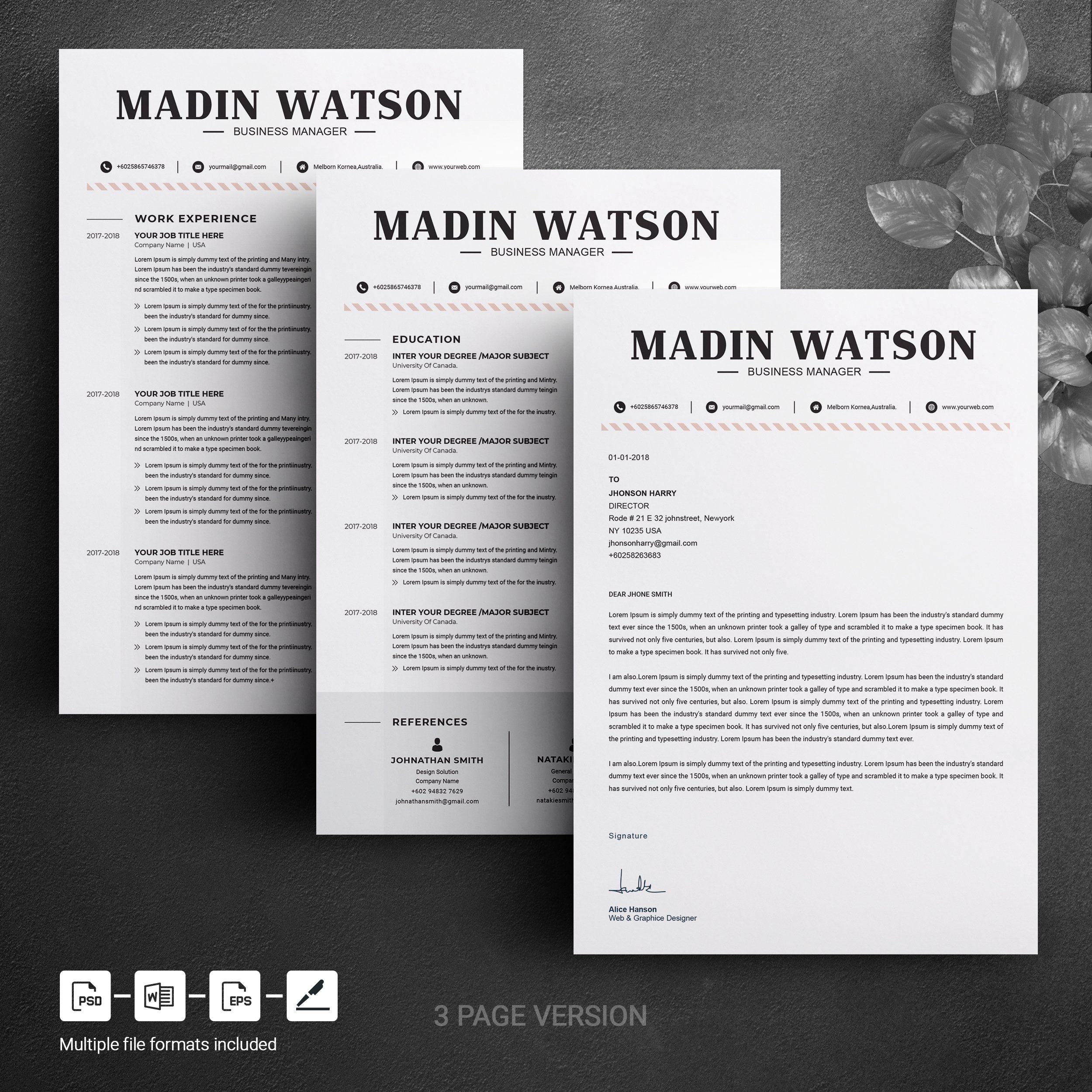 03 3 page free resume design template 196