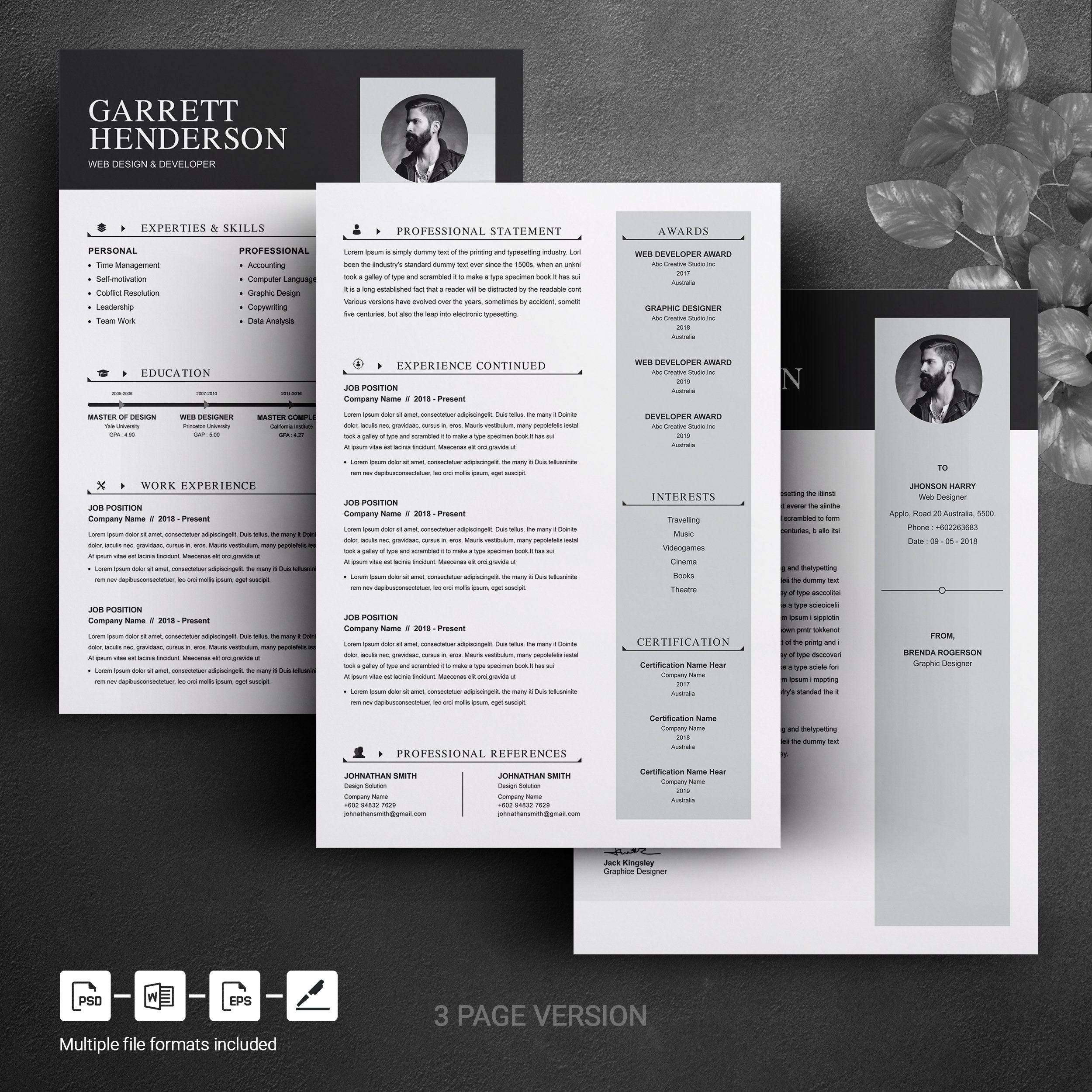 03 3 page free resume design template 325