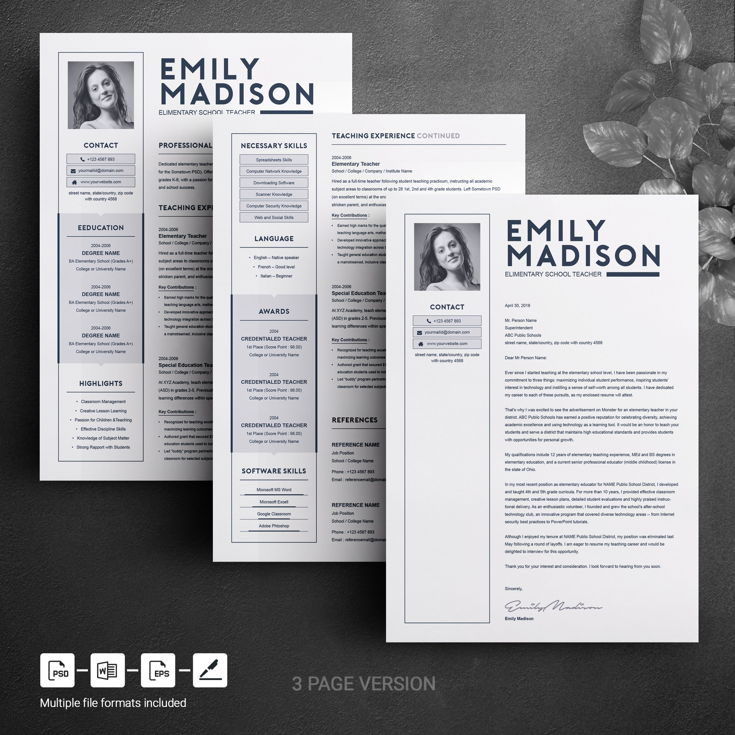 03 3 page free resume design template 38