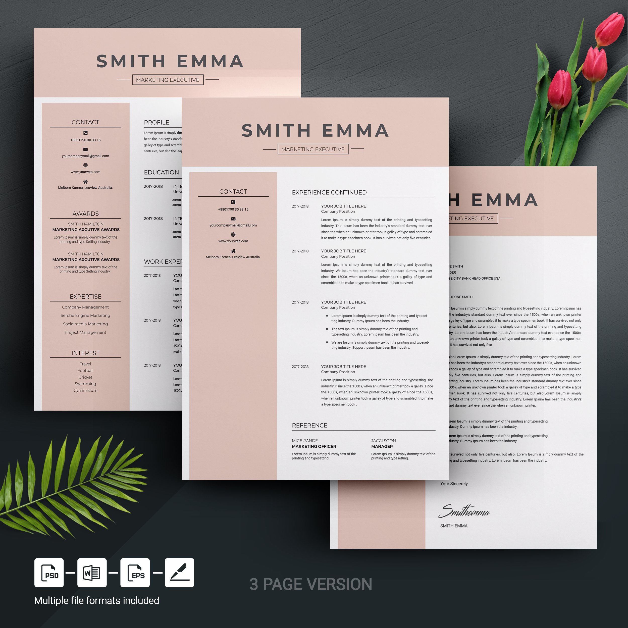 03 3 page free resume design template 422