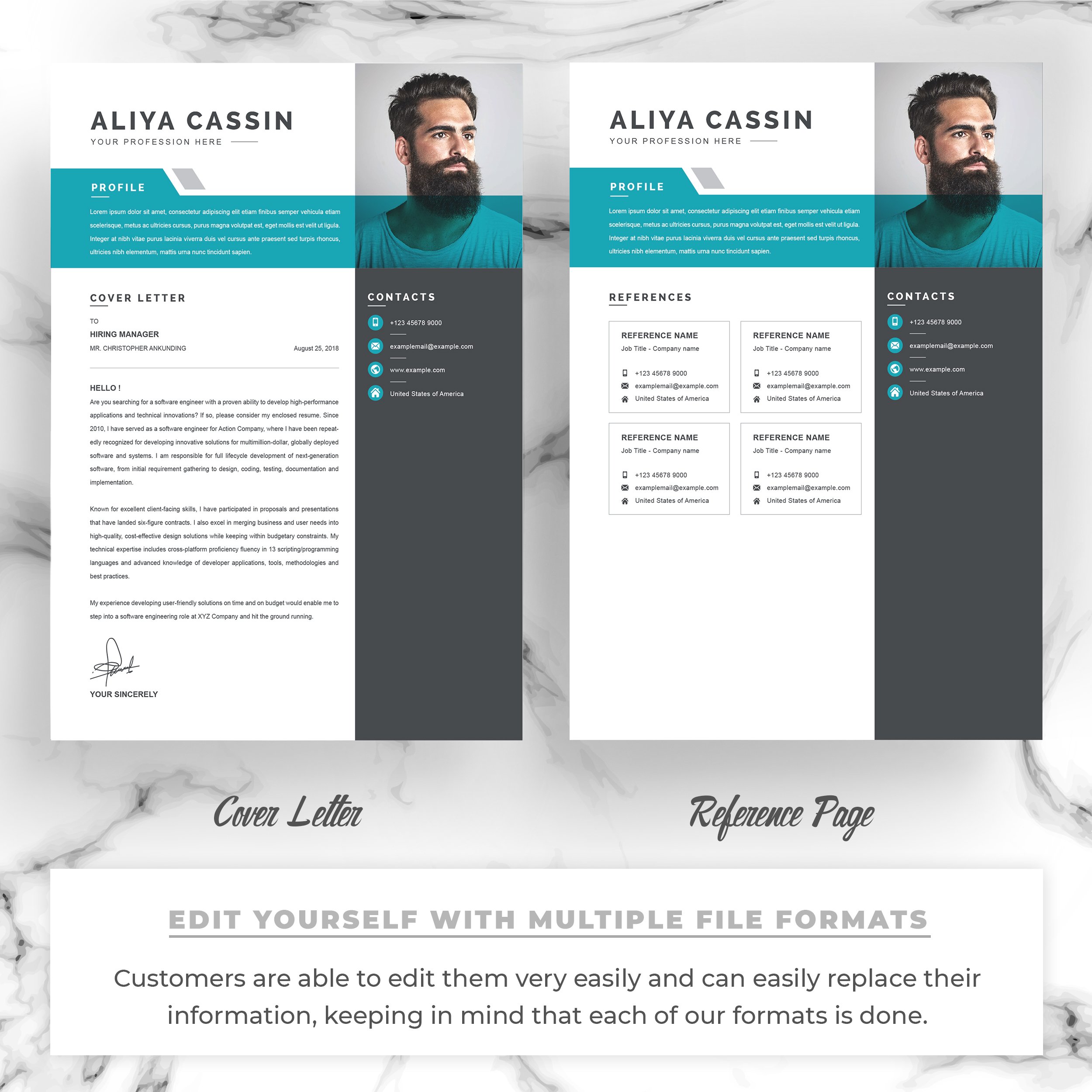 Professional resume/CV template - MasterBundles