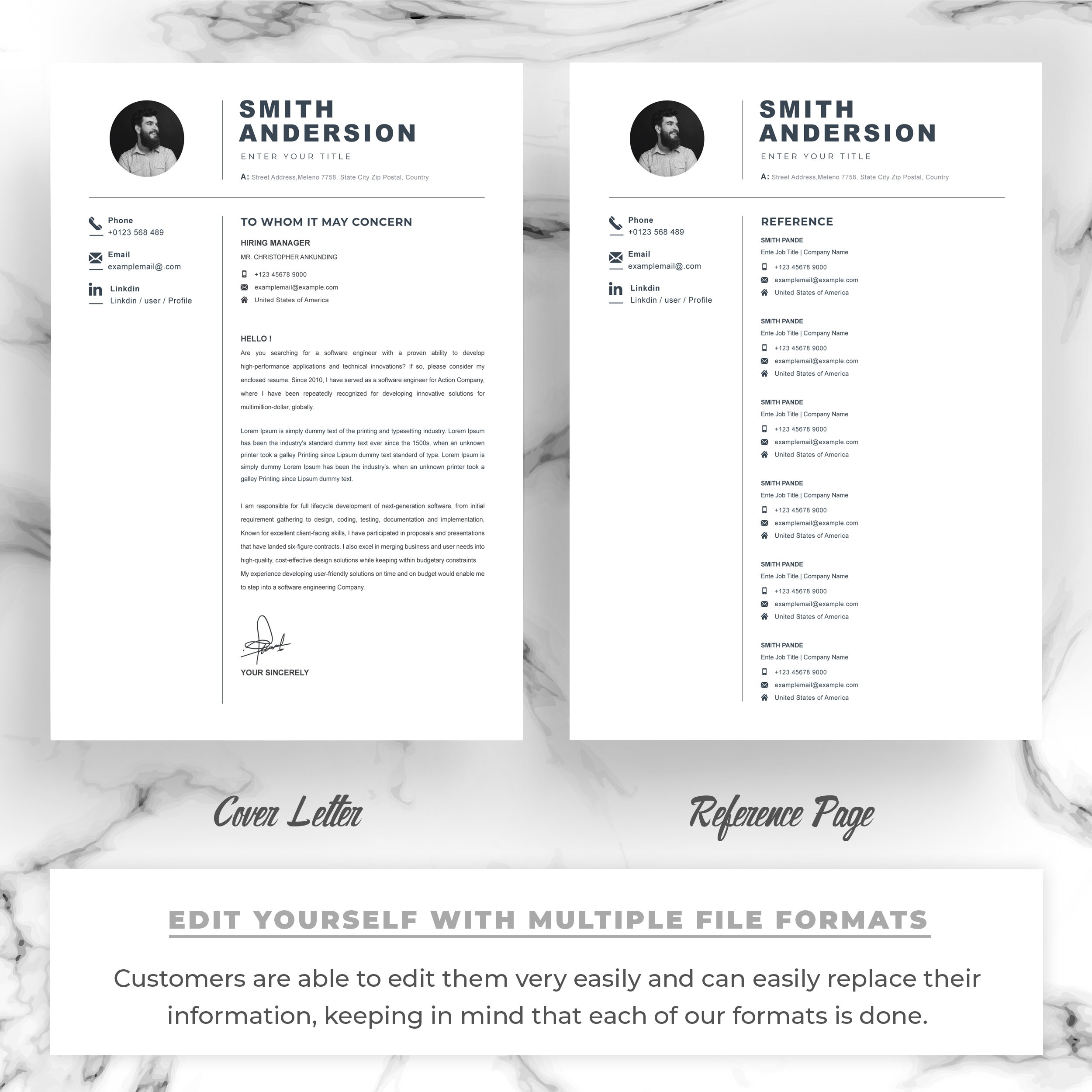 Professional Clean One Page Resume preview image.
