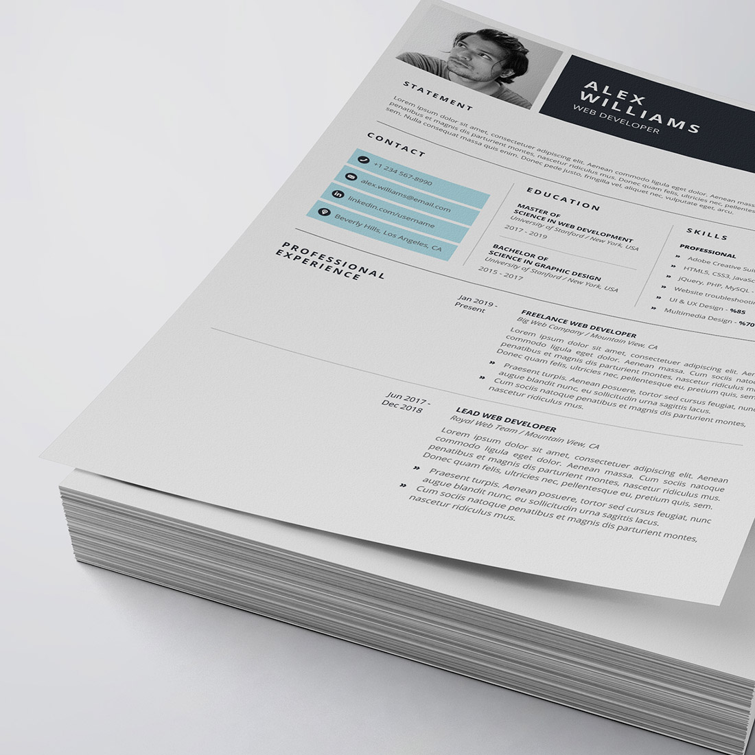 Professional Resume/CV Template cover image.