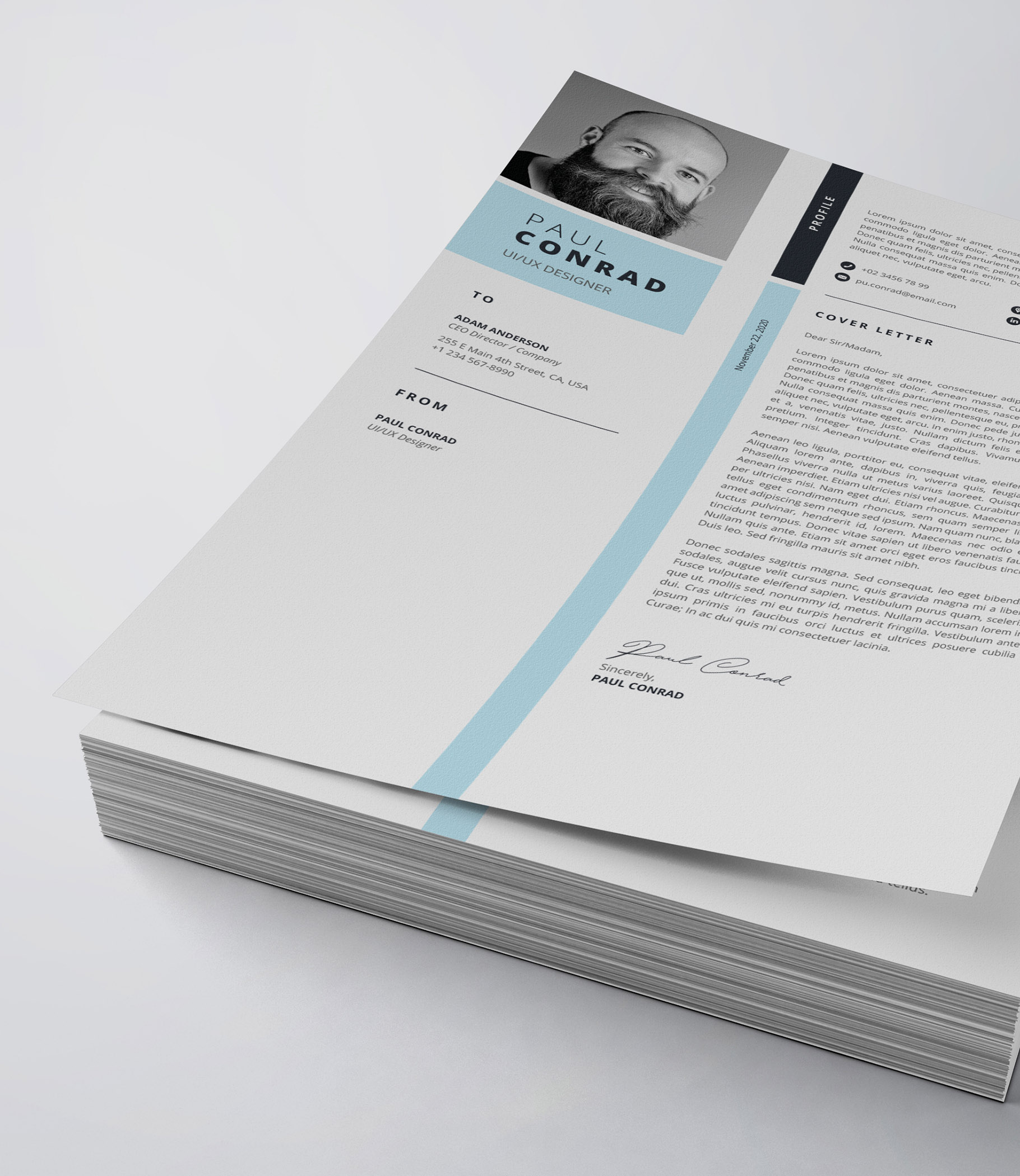 Clean and professional resume template with a blue stripe.
