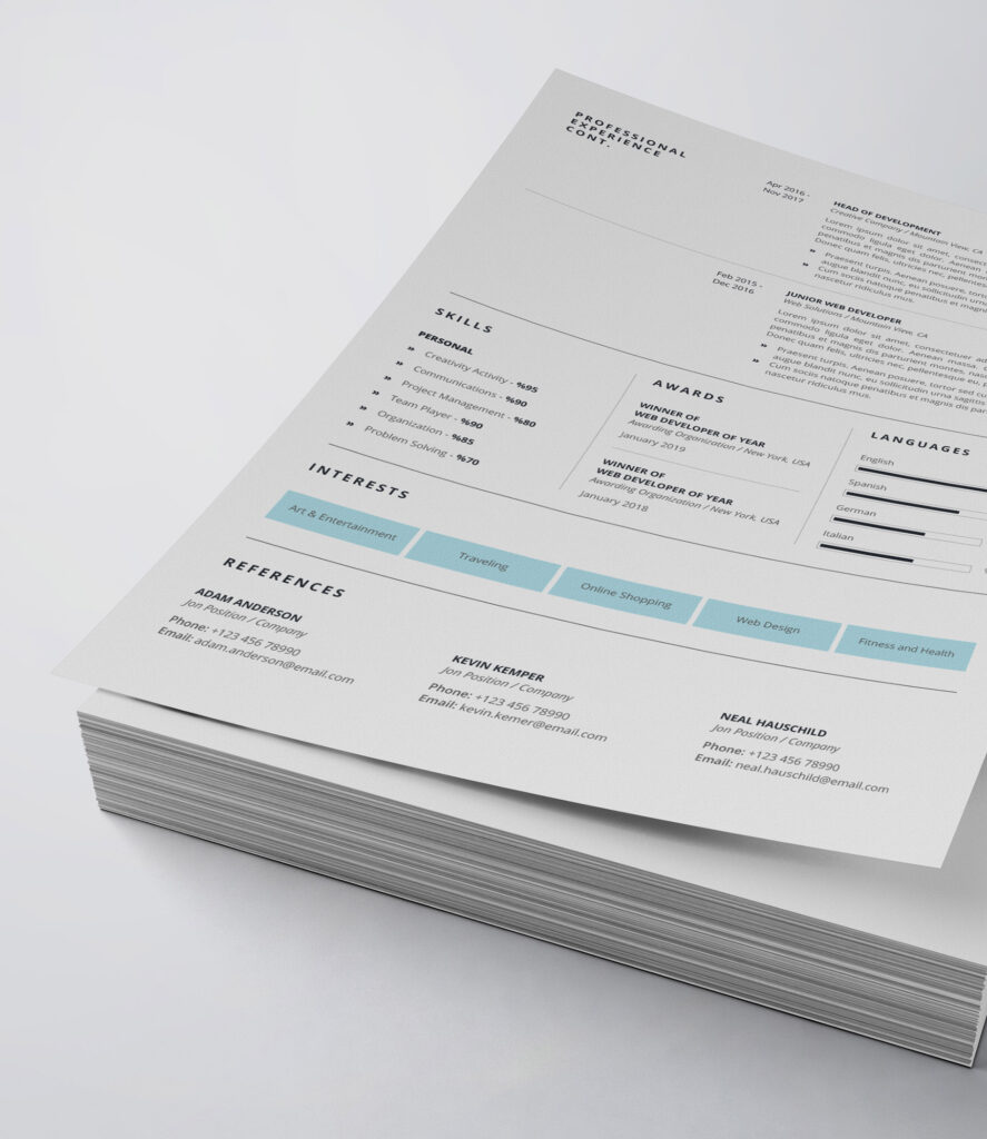 Professional Resume/CV Template - MasterBundles