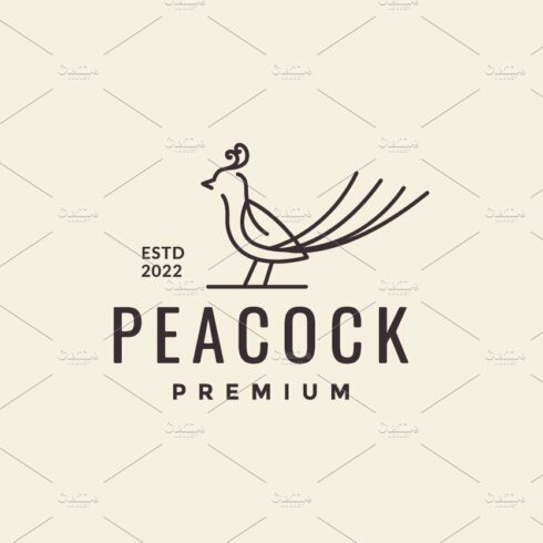 peacock lines art hipster logo cover image.