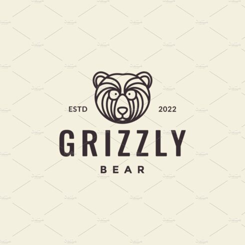 head little bear grizzly line logo cover image.
