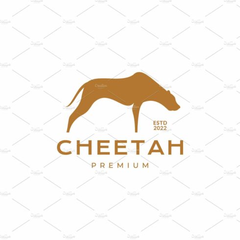 animal cheetah modern logo cover image.