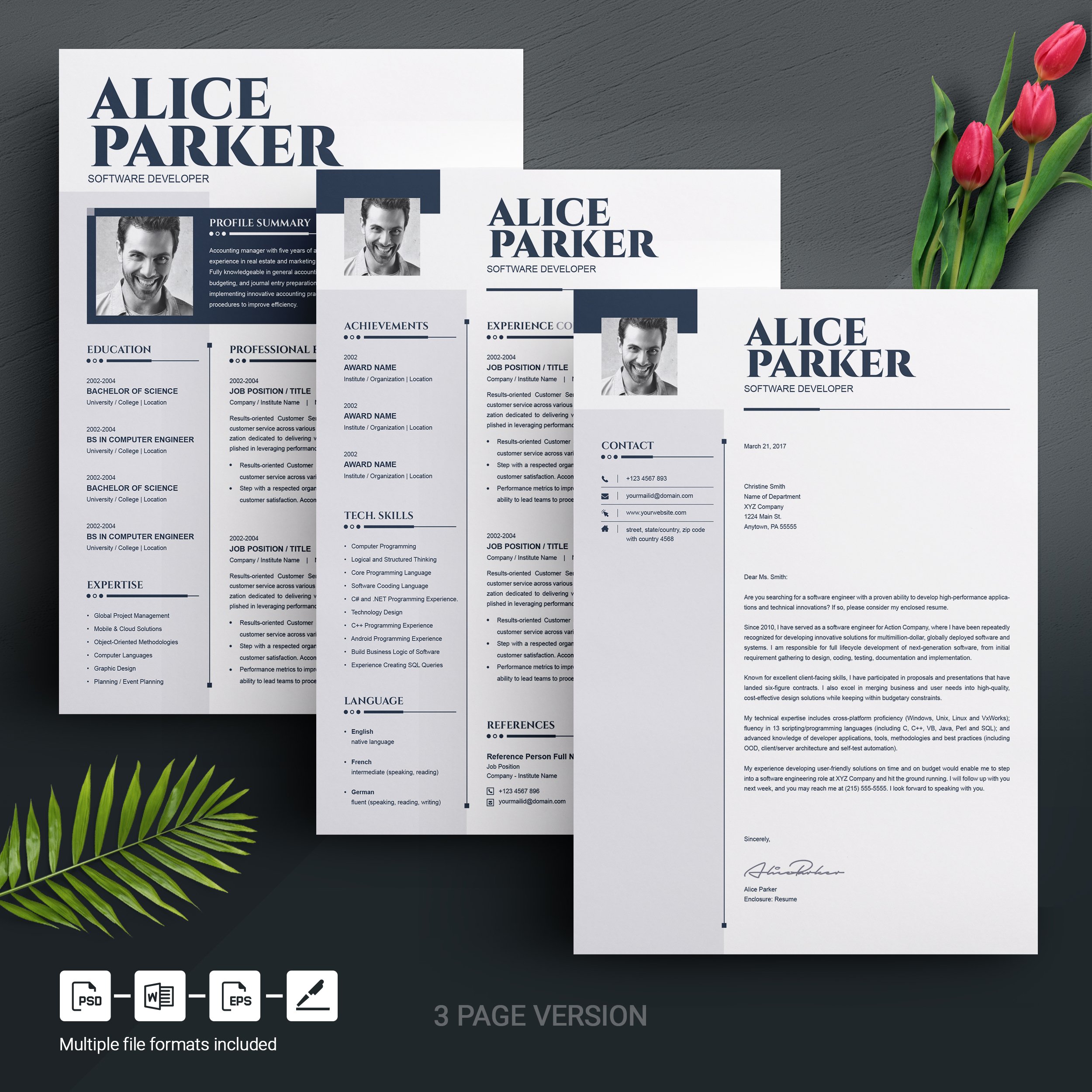 04 3 page free resume design template 725