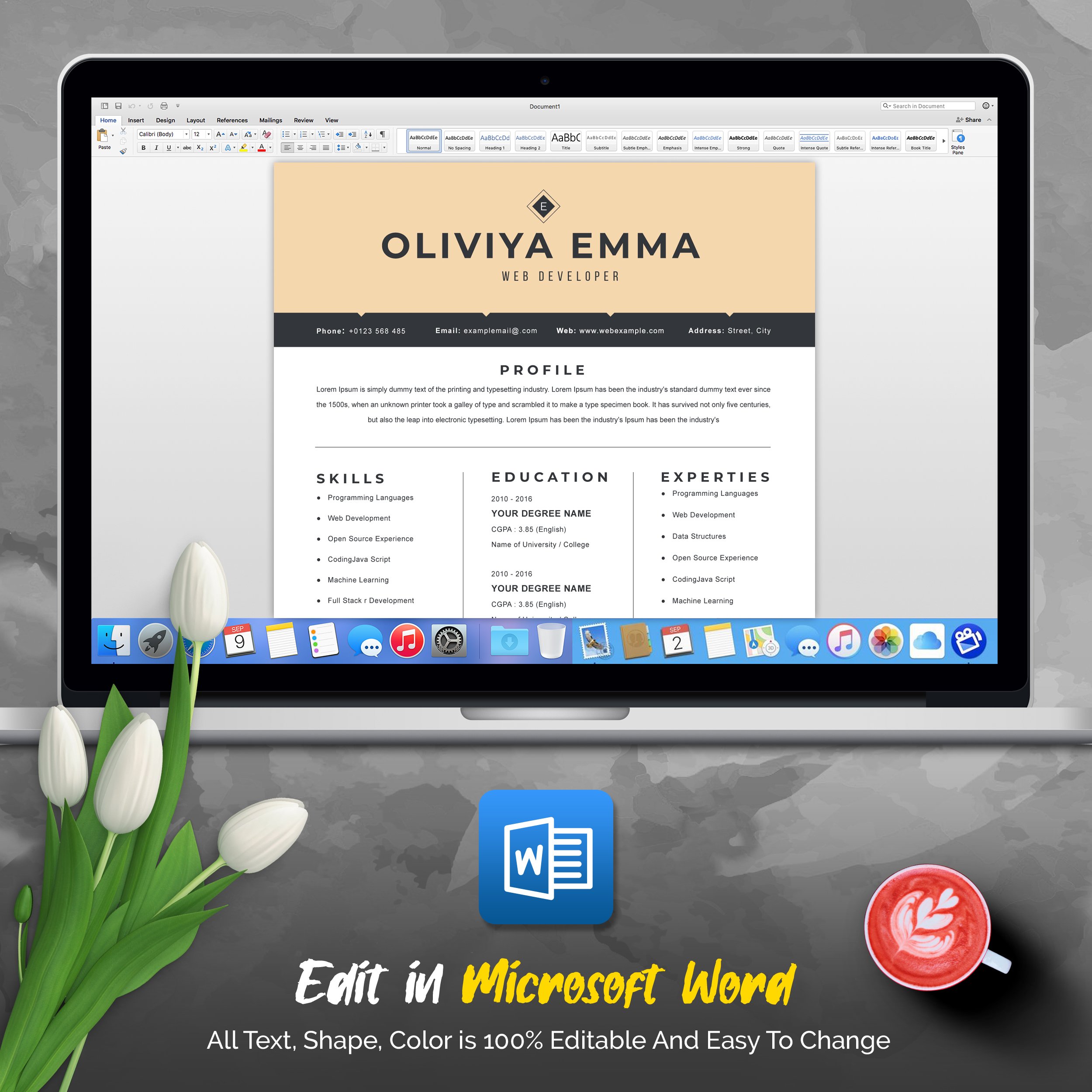 04 3 pages professional ms word aple pages eps photoshop psd resume cv design template design by resume inventor 83